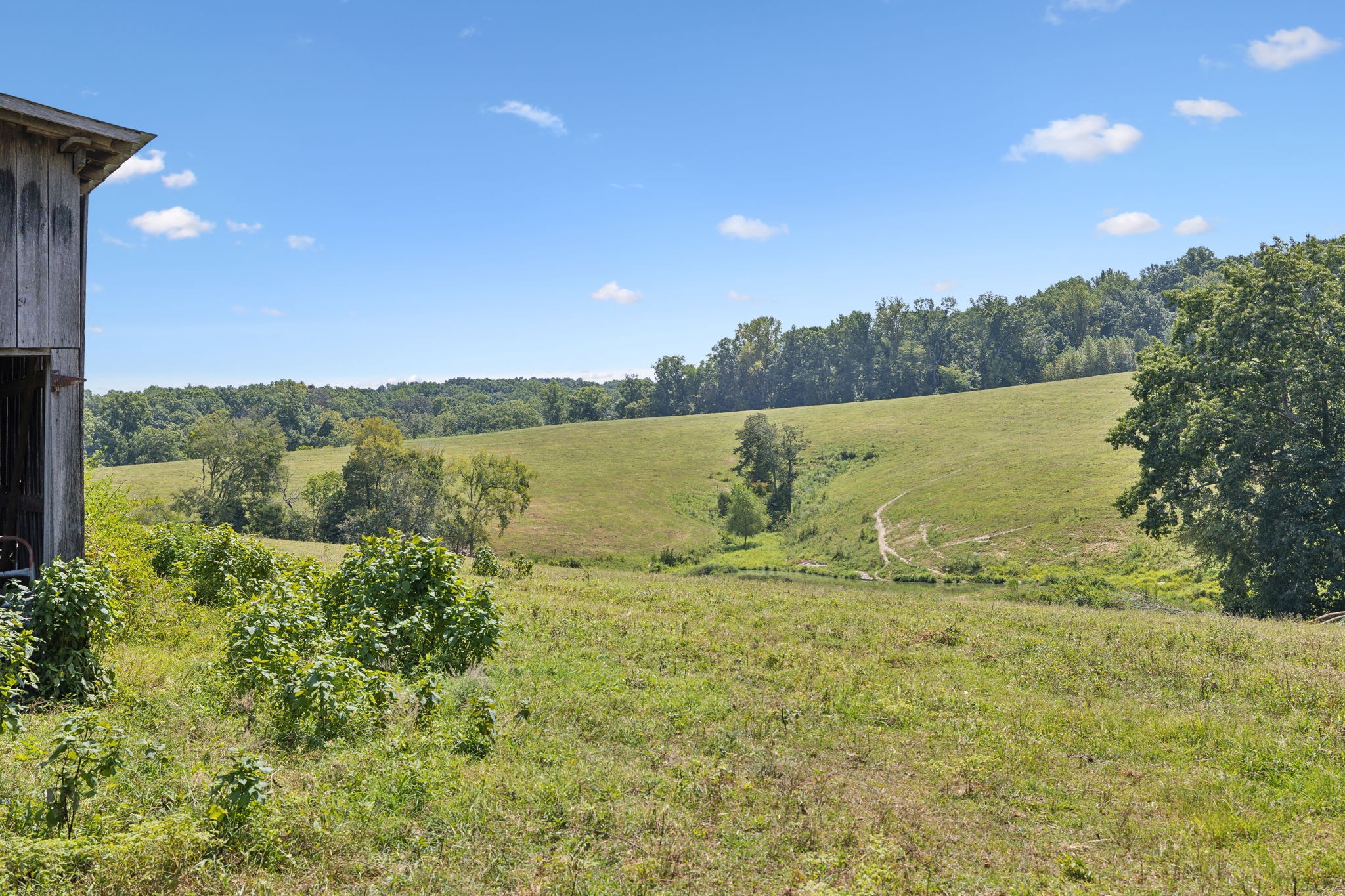 Image 8 of 57 For 1 N Lick Creek Rd