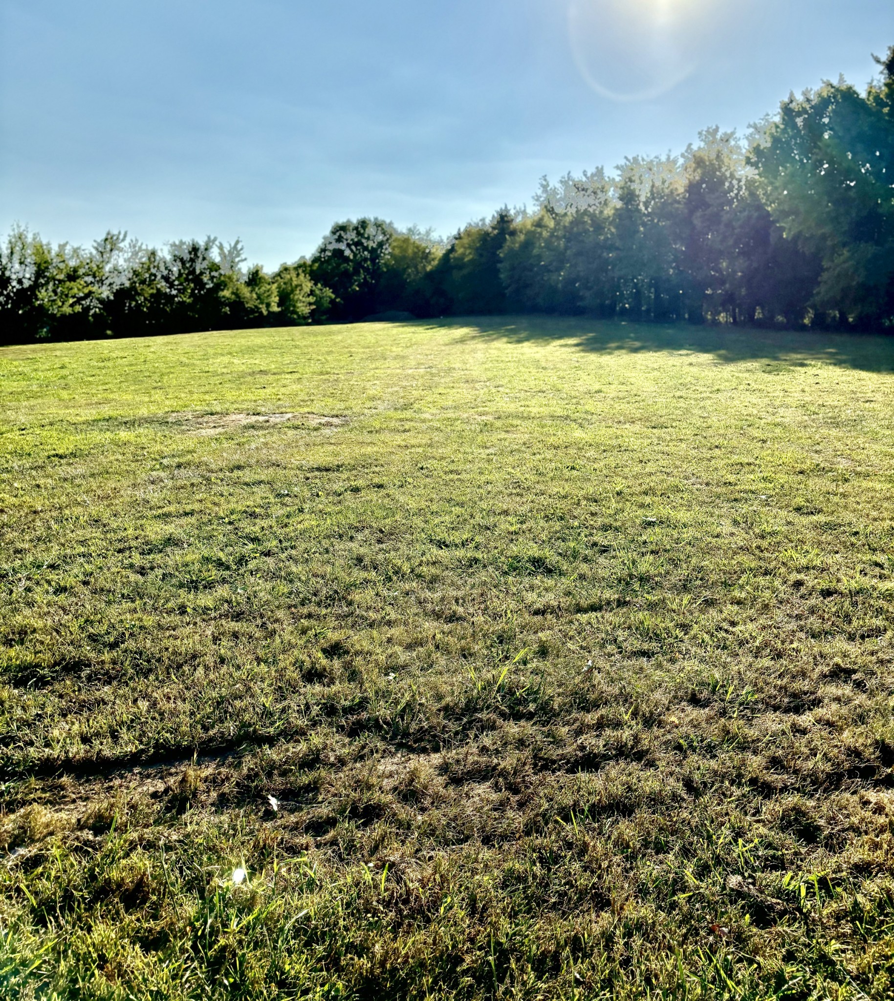 Image 33 of 42 For 2510 167th Avenue