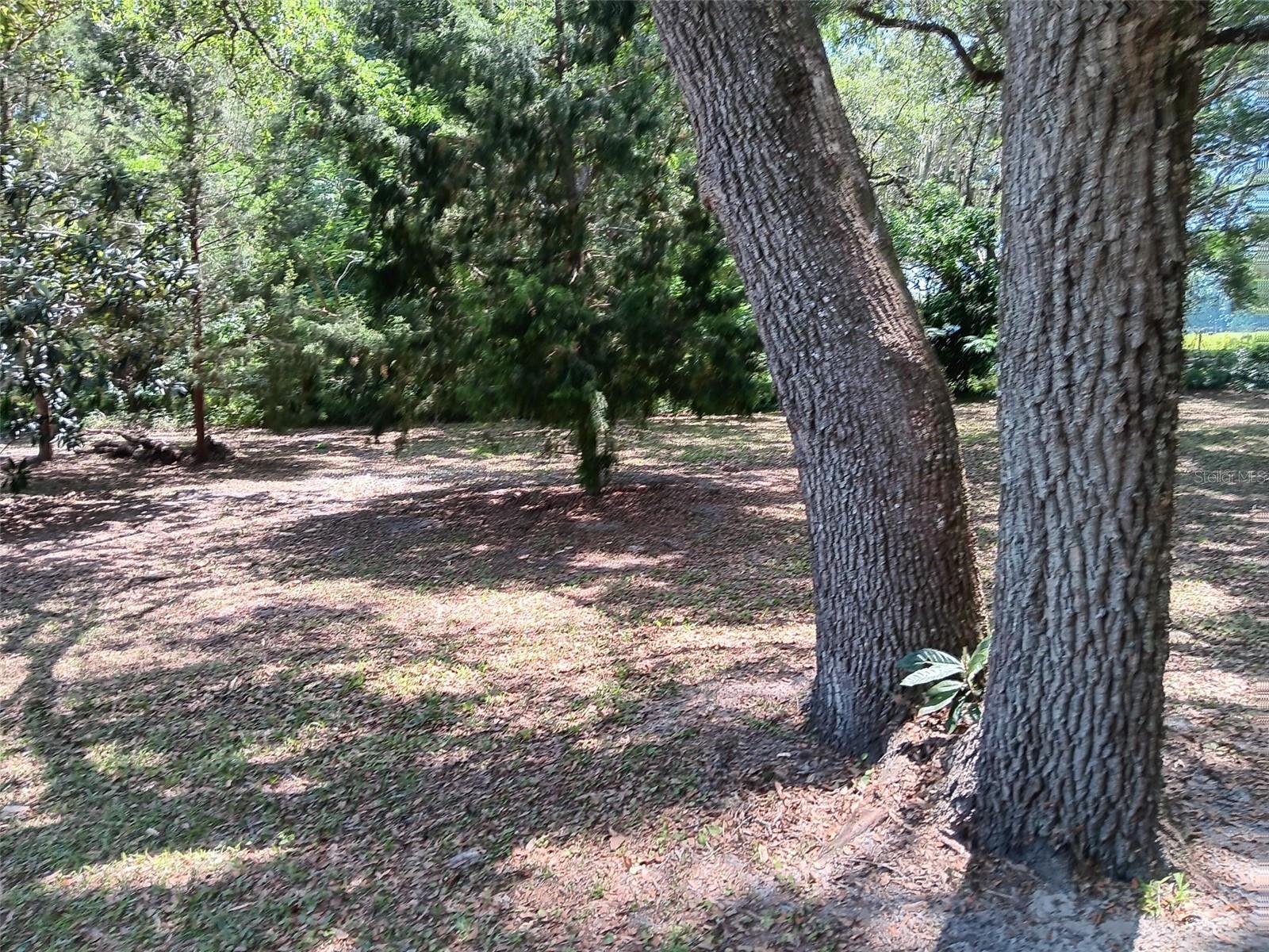 Image 42 of 42 For 2510 167th Avenue