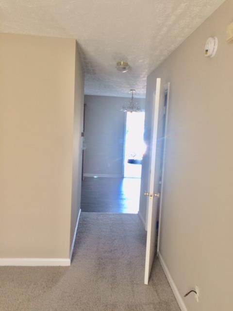 Image 5 of 50 For 5560 183rd Terrace