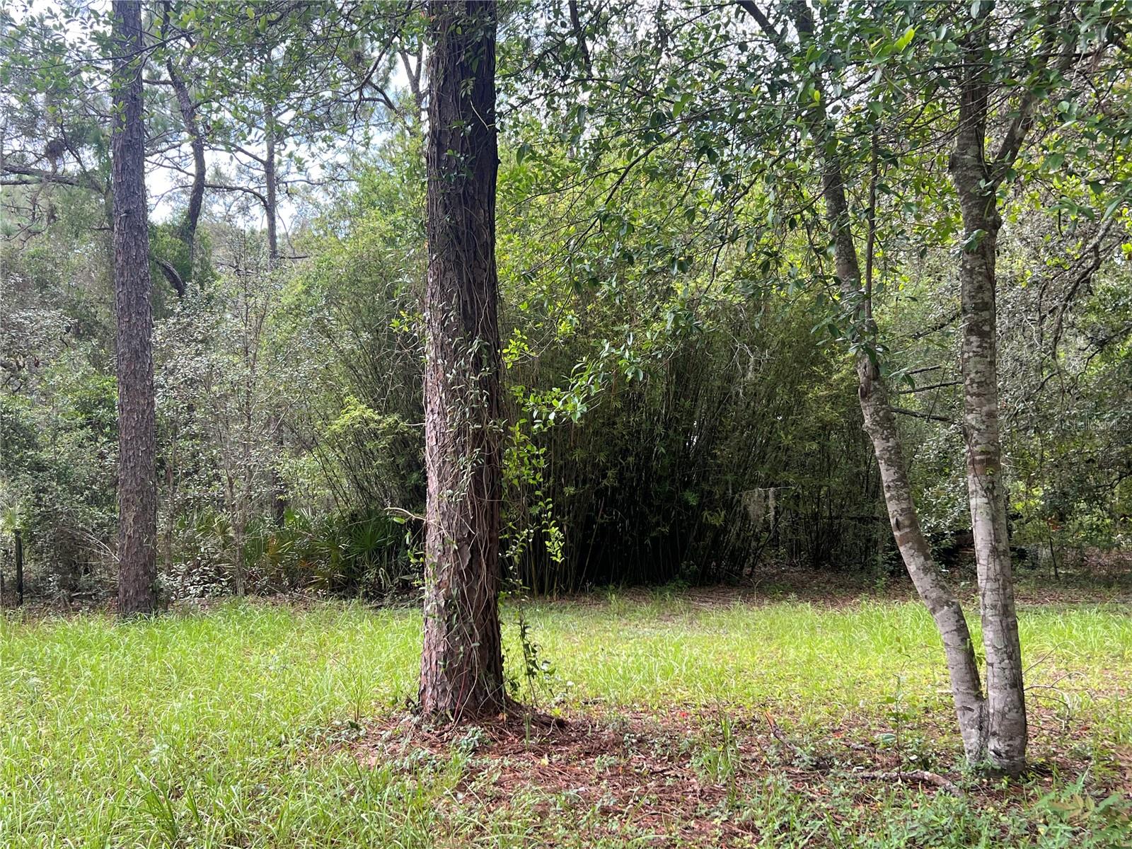 Image 18 of 22 For 5464 Wilson Point 2