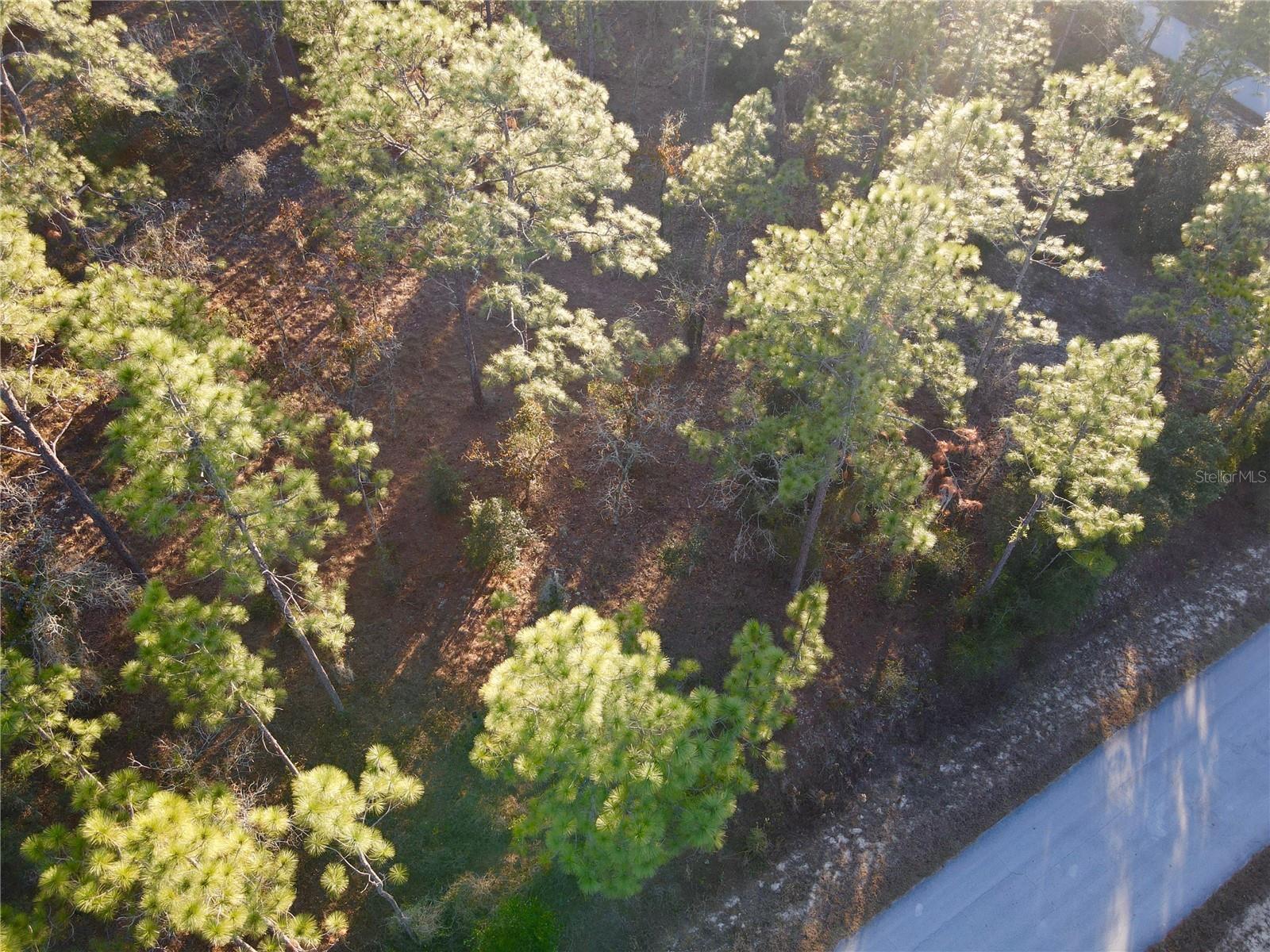Image 4 of 8 For Tbd Edgewater Boulevard