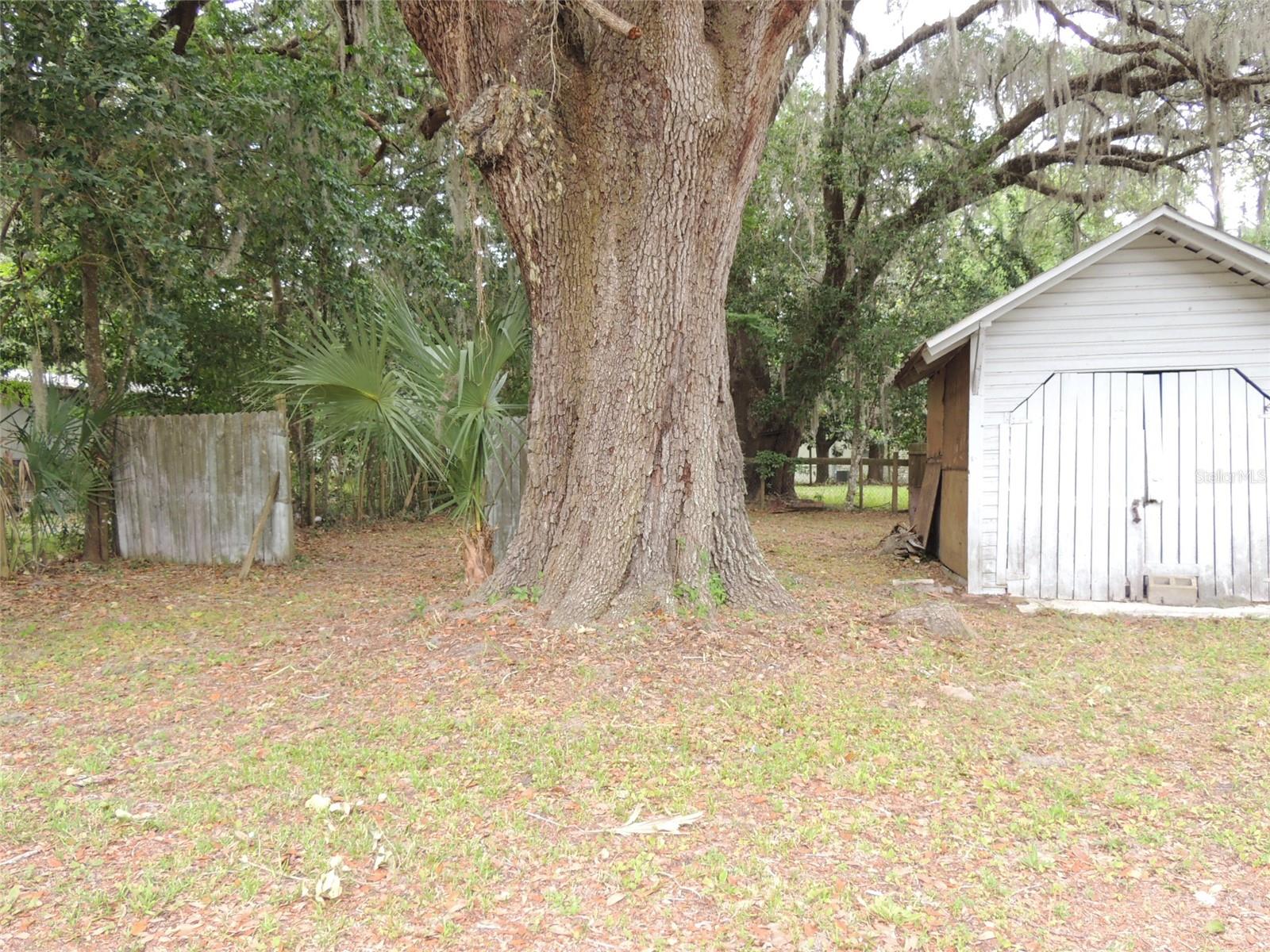 Image 9 of 23 For 219 3rd Avenue