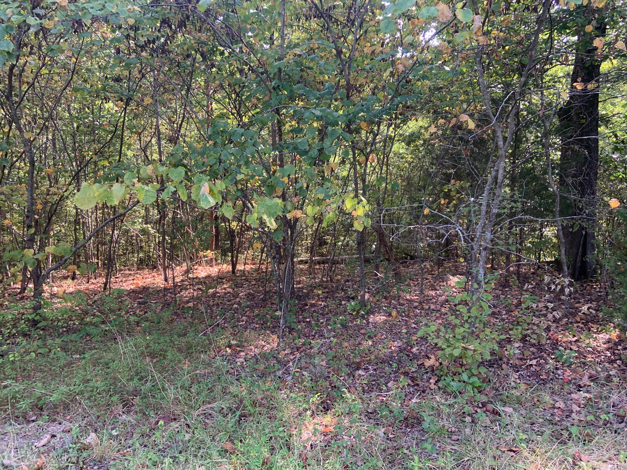 Image 4 of 35 For 13425 106th Place