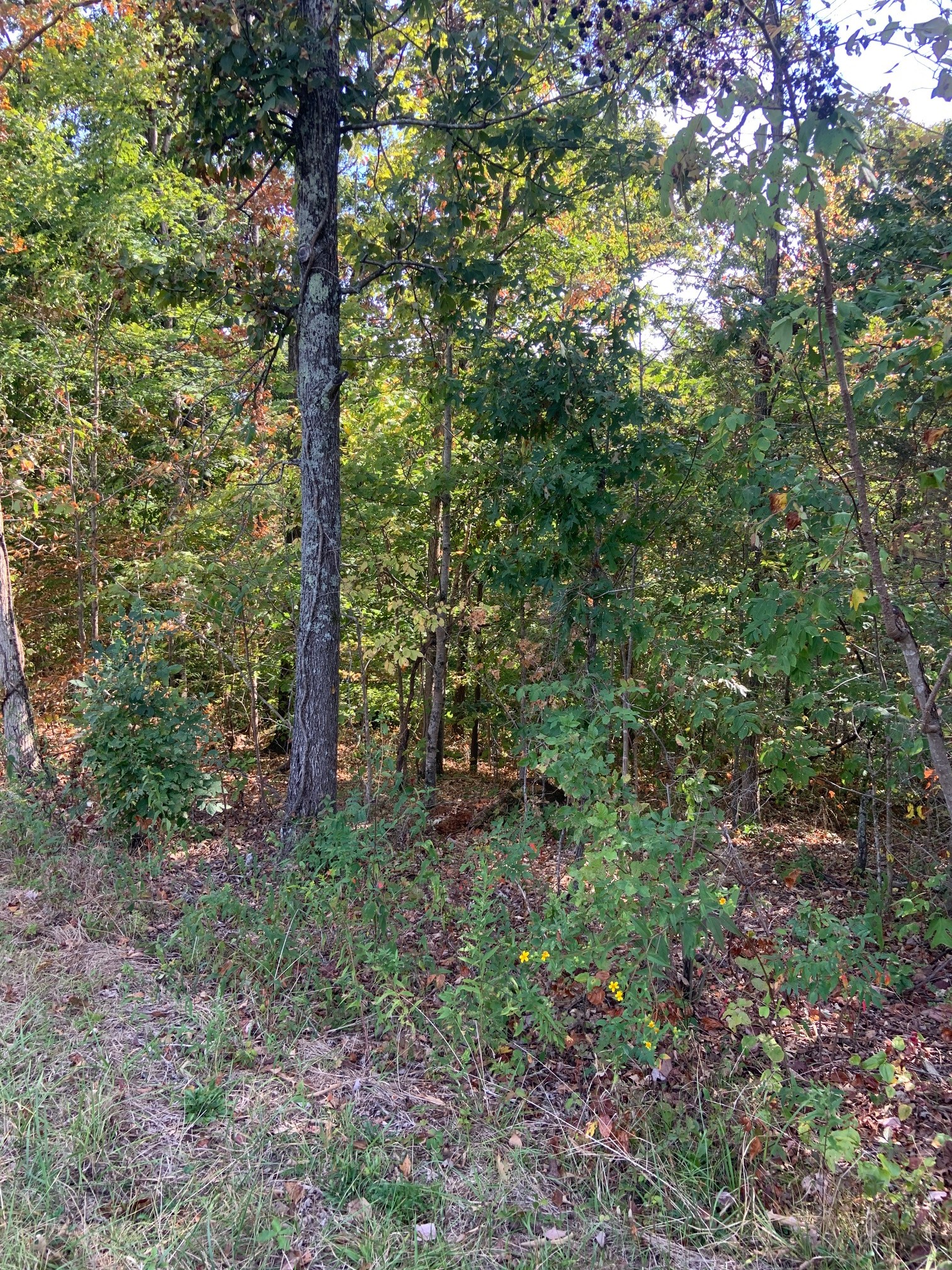 Image 7 of 35 For 13425 106th Place
