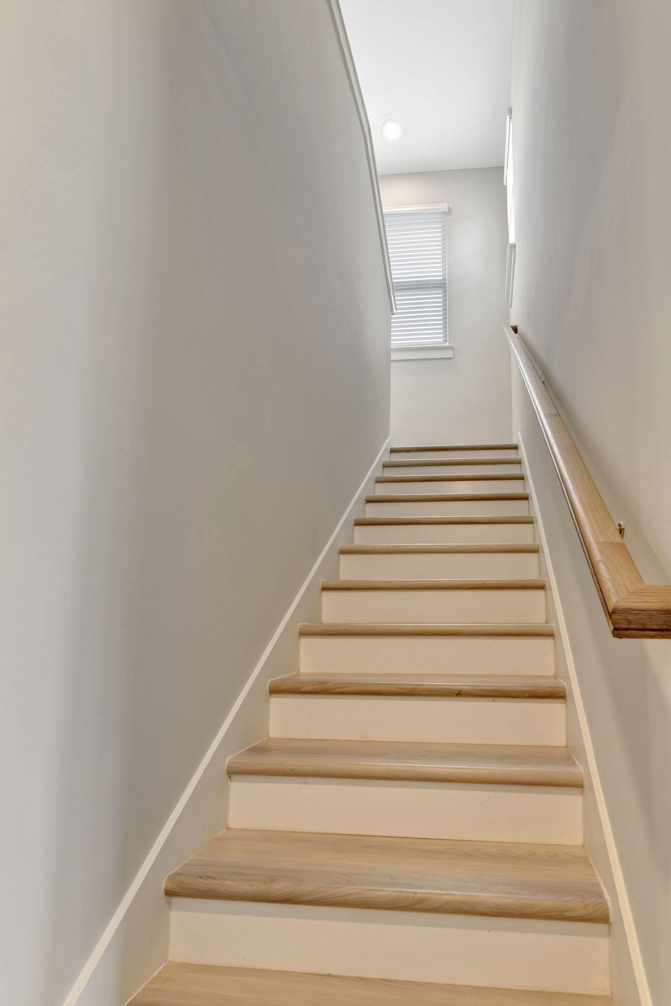 Image 17 of 22 For 8413 Gower Trail