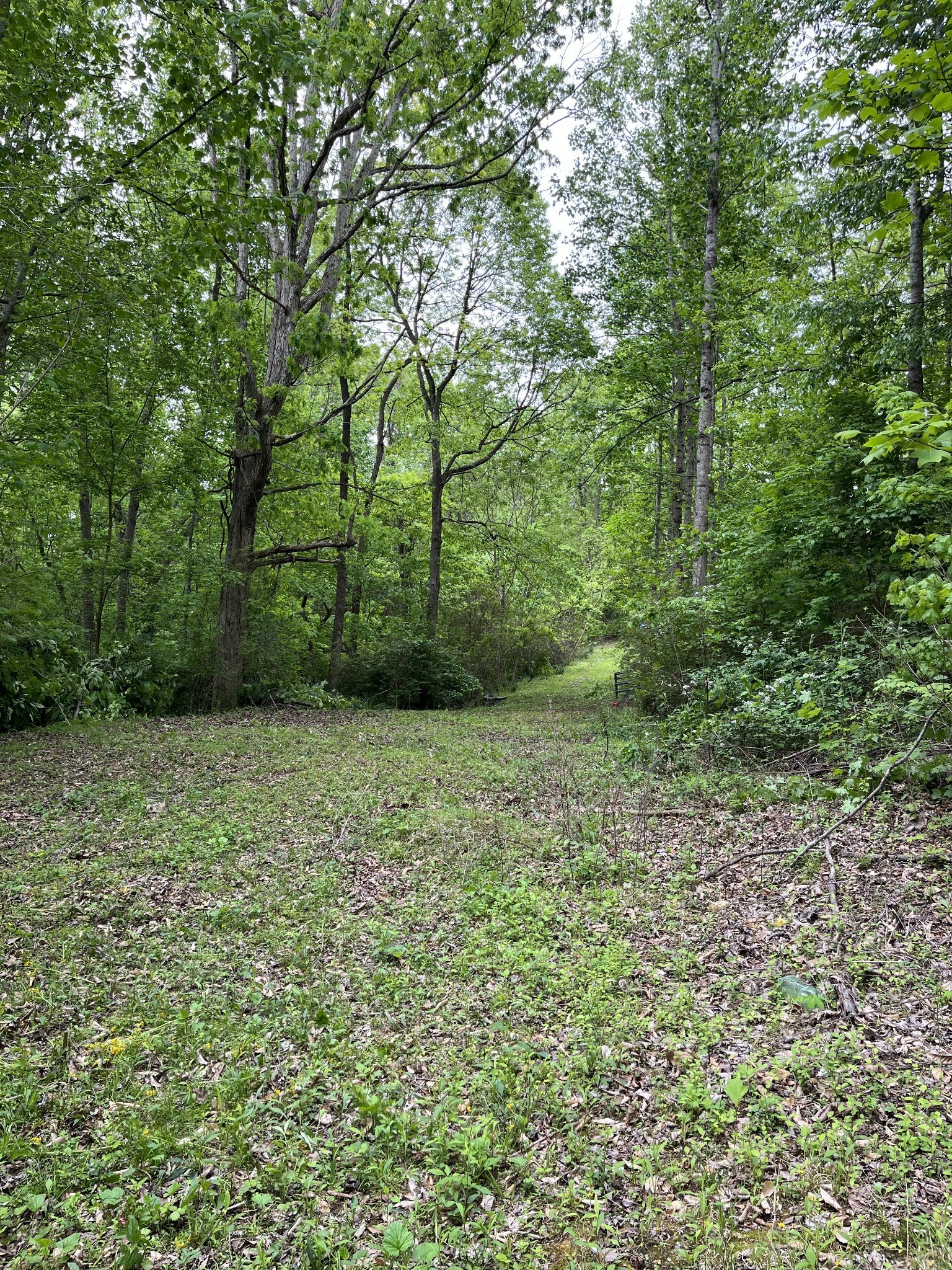 Image 3 of 46 For 4735 35th Street