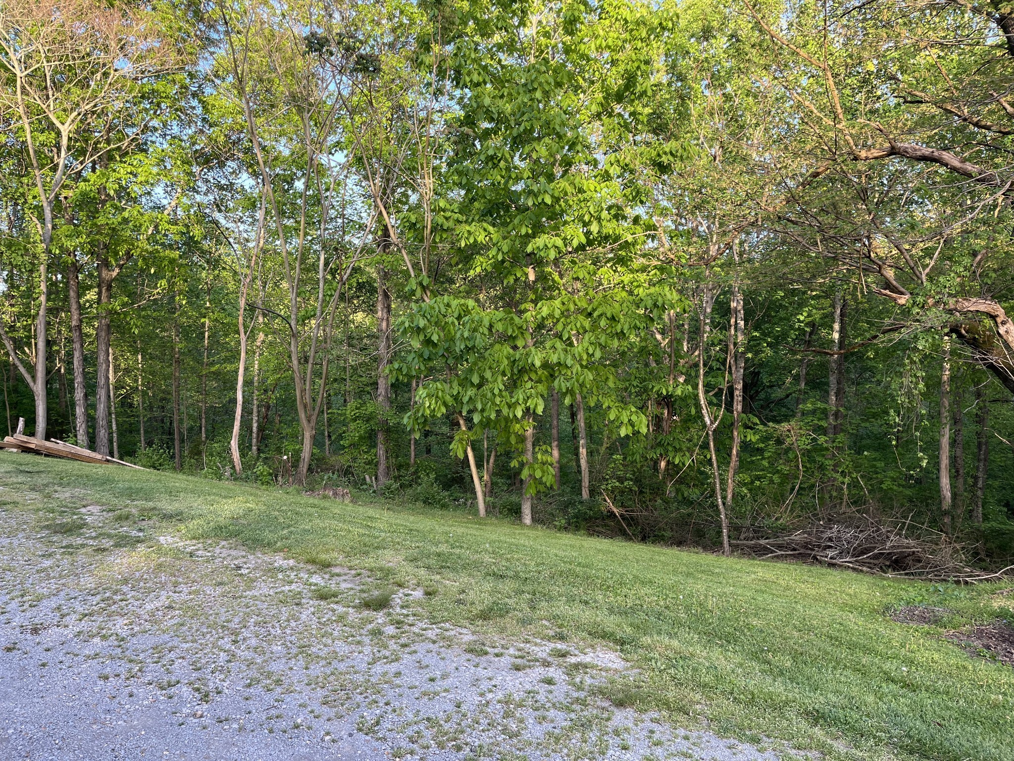 Image 5 of 46 For 4735 35th Street