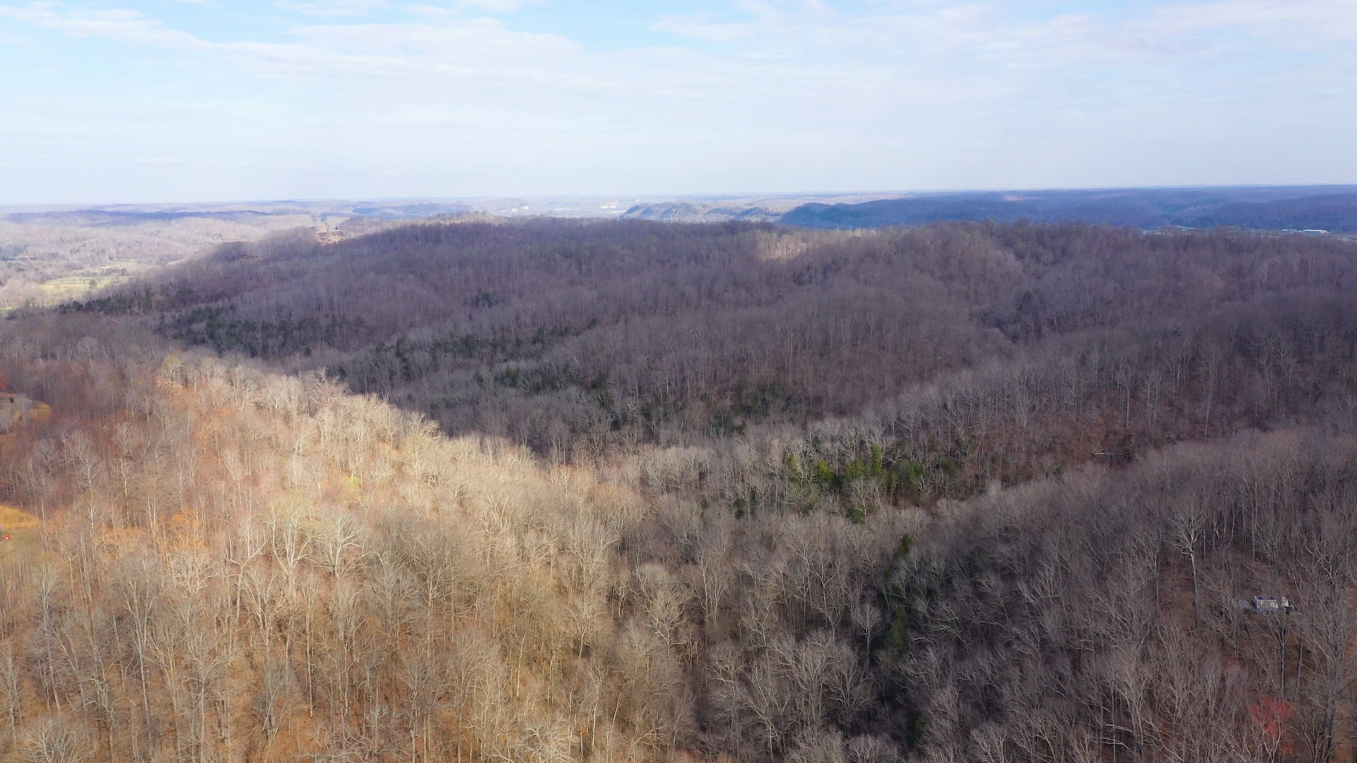 Details for 4521 100th Place F, BELLEVIEW, FL 34420