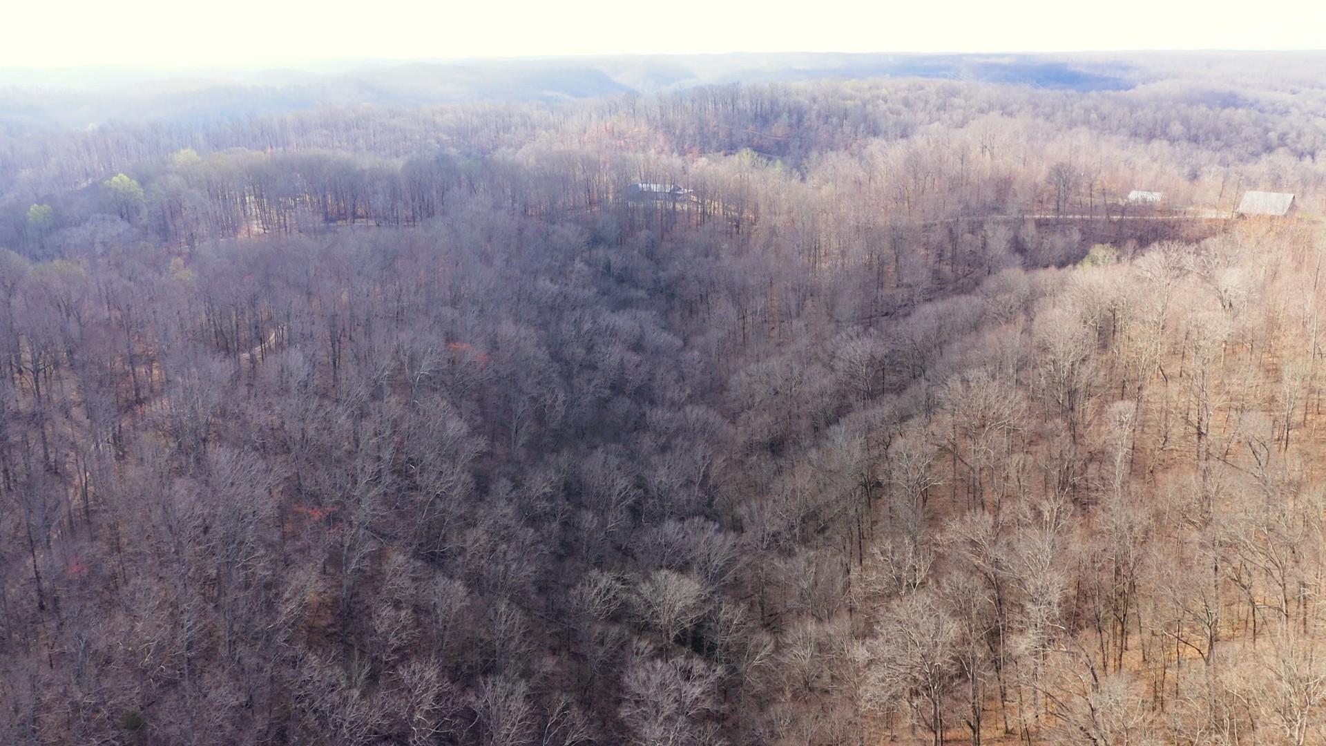 Image 10 of 10 For 4521 100th Place F