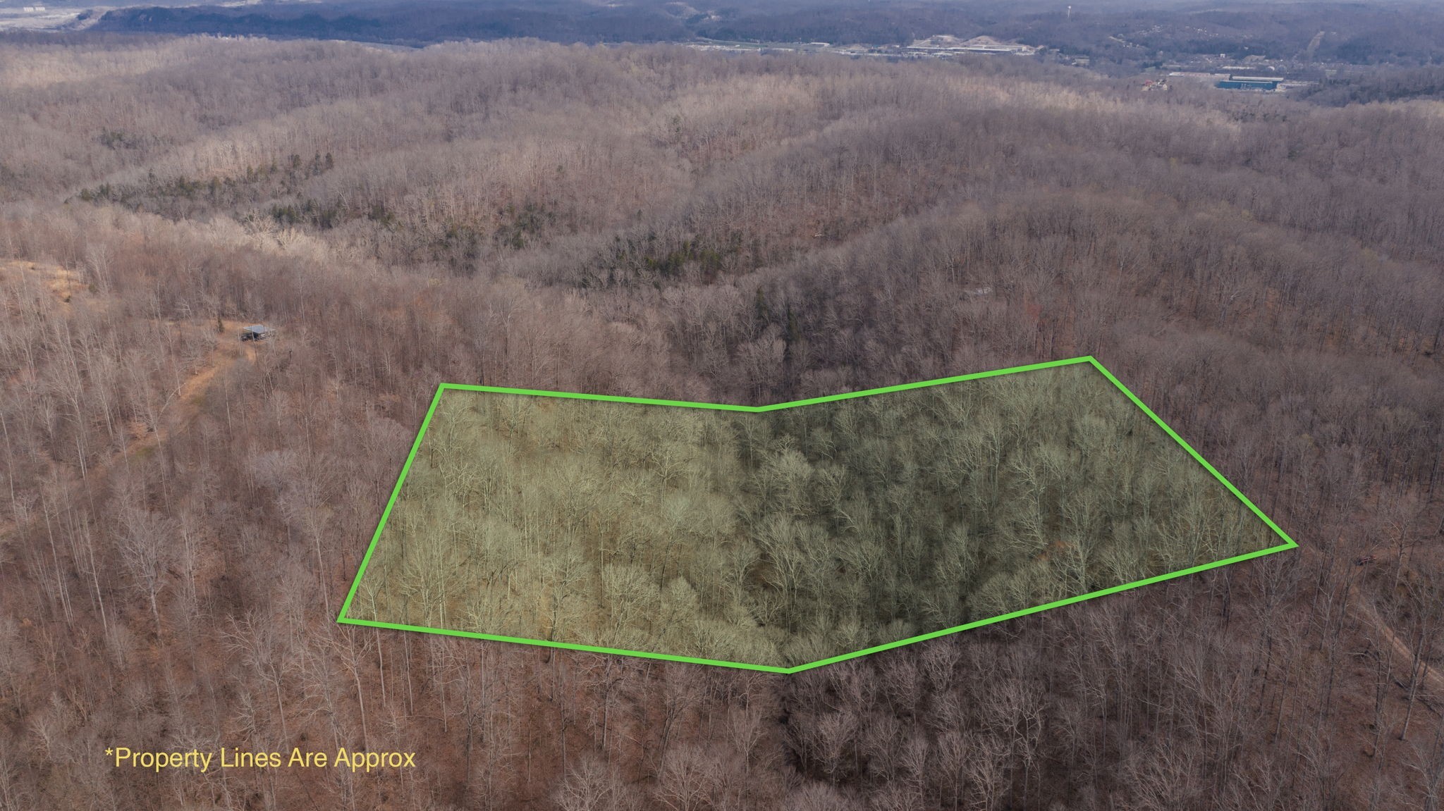 Image 3 of 10 For 4521 100th Place F