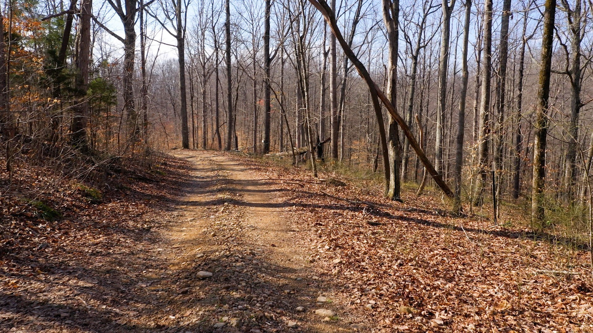 Image 4 of 10 For 4521 100th Place F