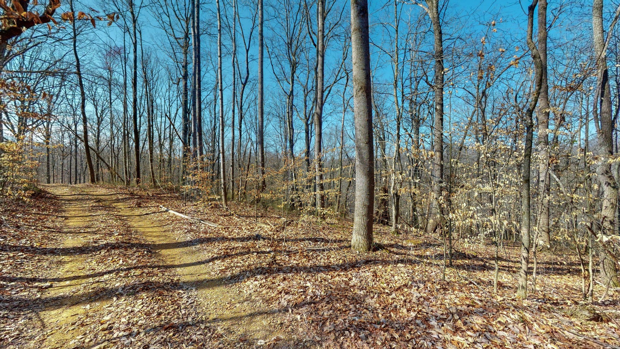 Image 5 of 10 For 4521 100th Place F