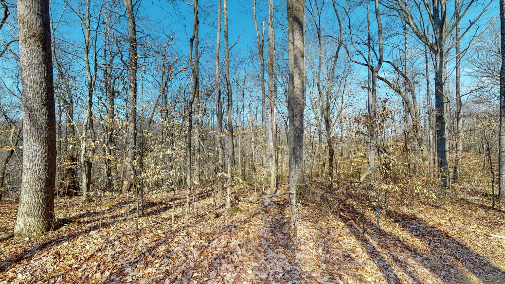 Image 6 of 10 For 4521 100th Place F