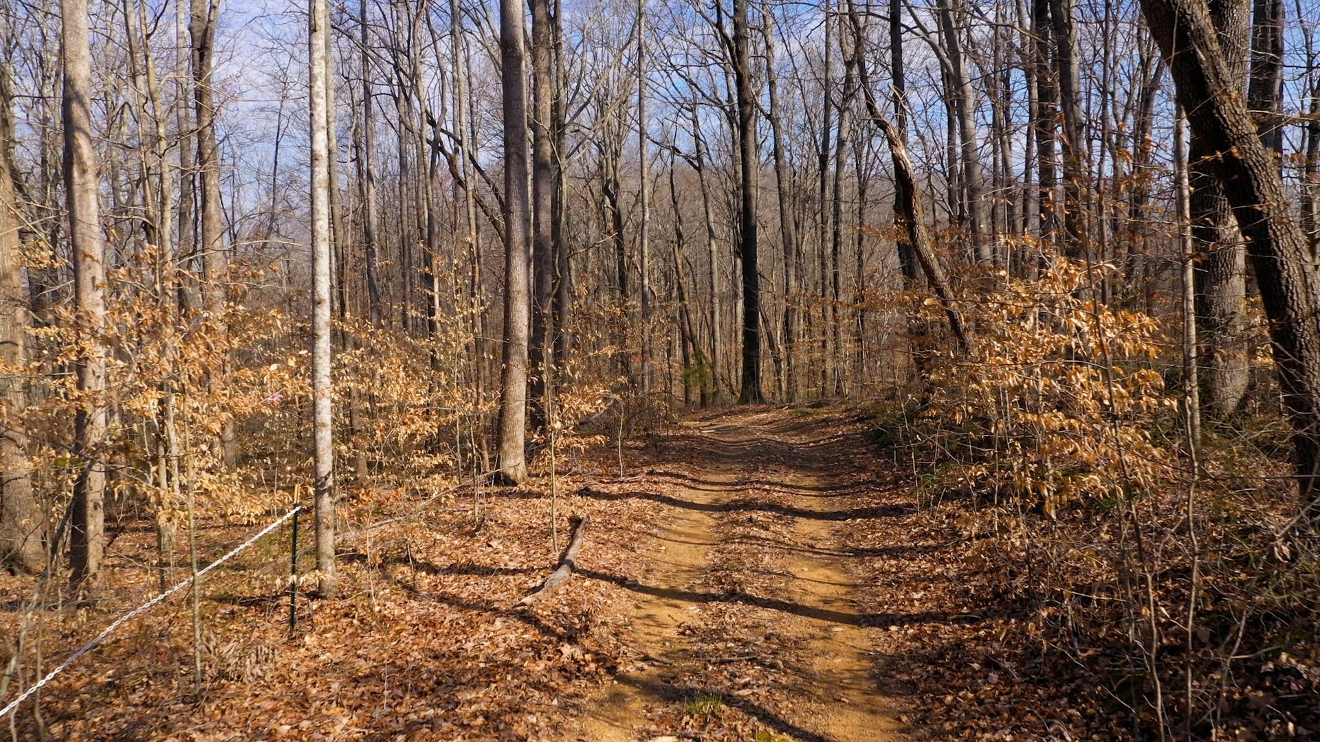 Image 7 of 10 For 4521 100th Place F