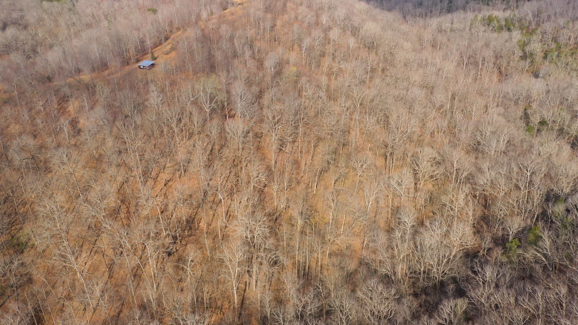 Image 8 of 10 For 4521 100th Place F