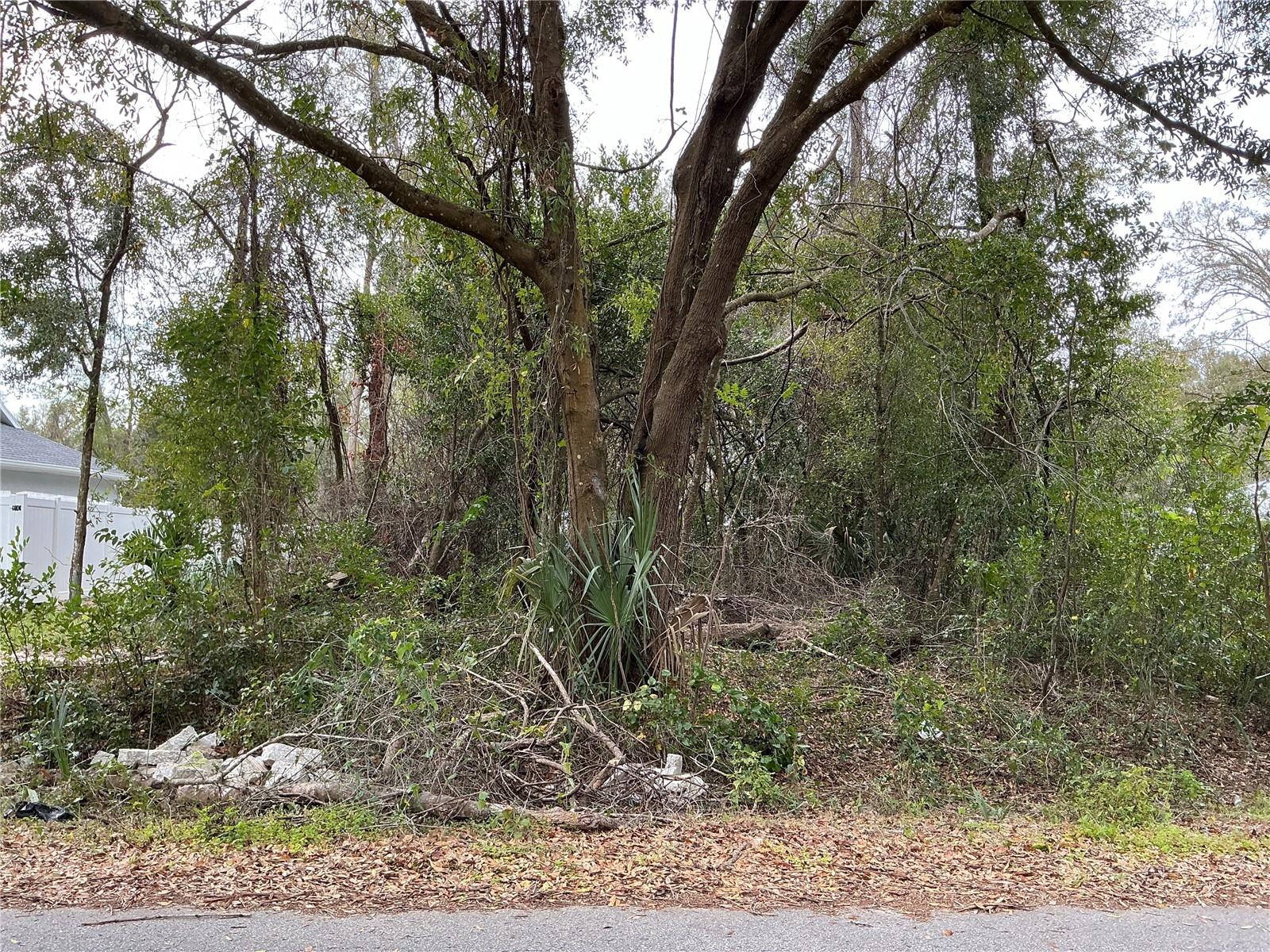 Details for 0 137th Place, SUMMERFIELD, FL 34491