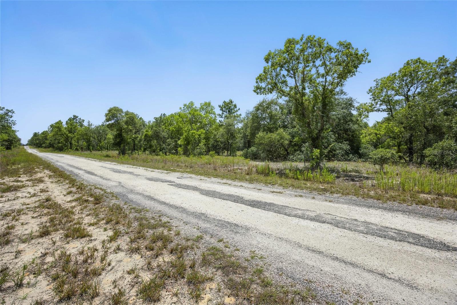 Listing photo id 10 for Lot 6 Se 134th Court