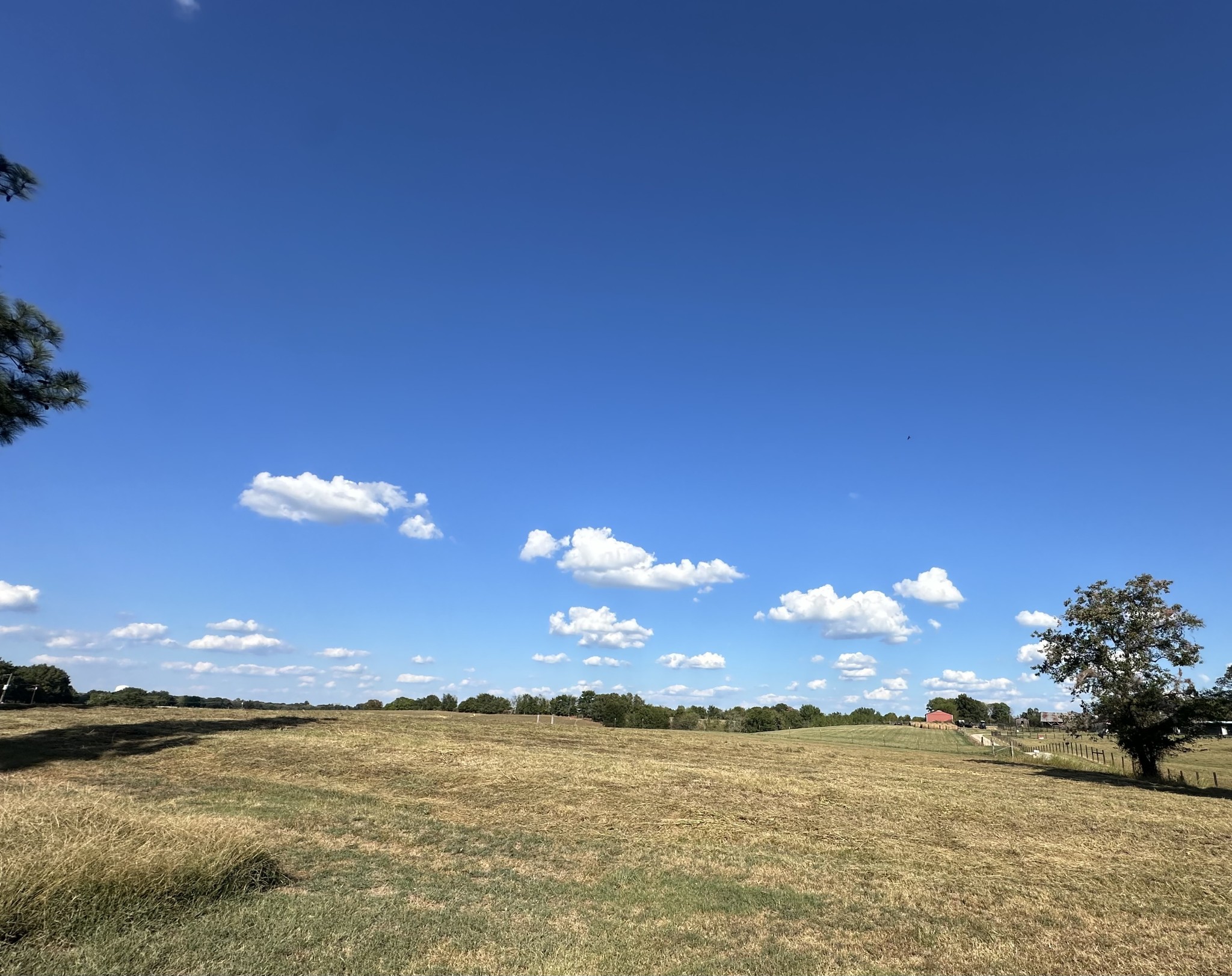 Listing photo id 0 for 5221 Joliet Lane
