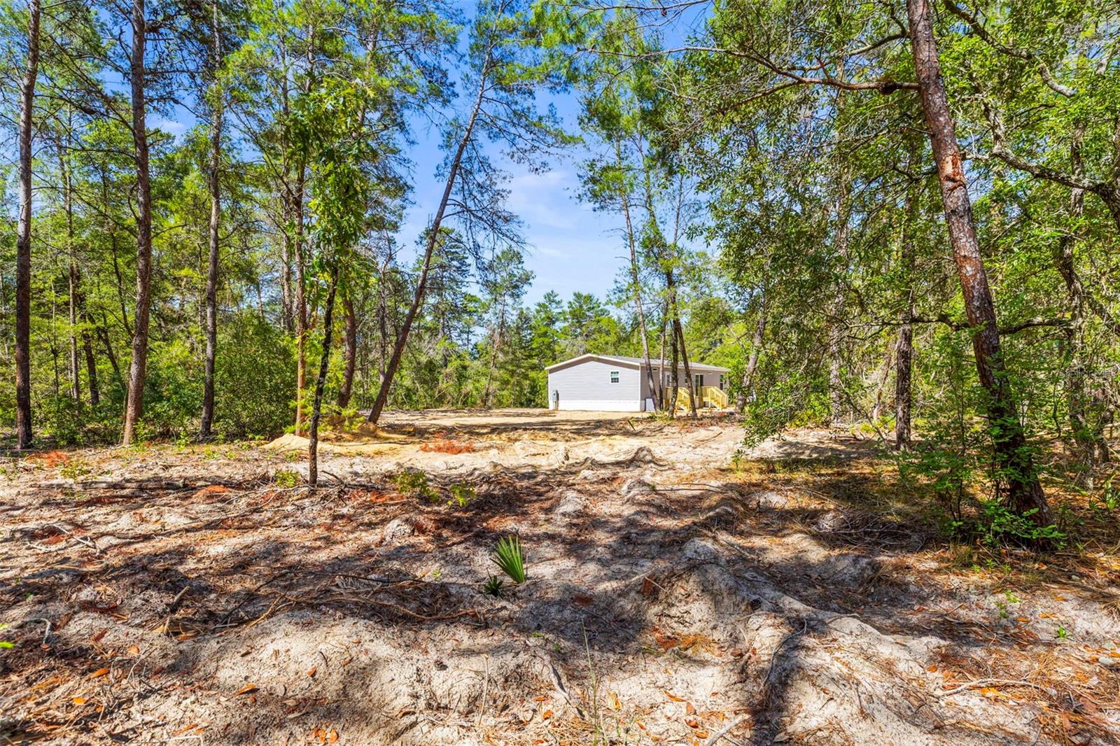 Listing photo id 6 for 5221 Joliet Lane