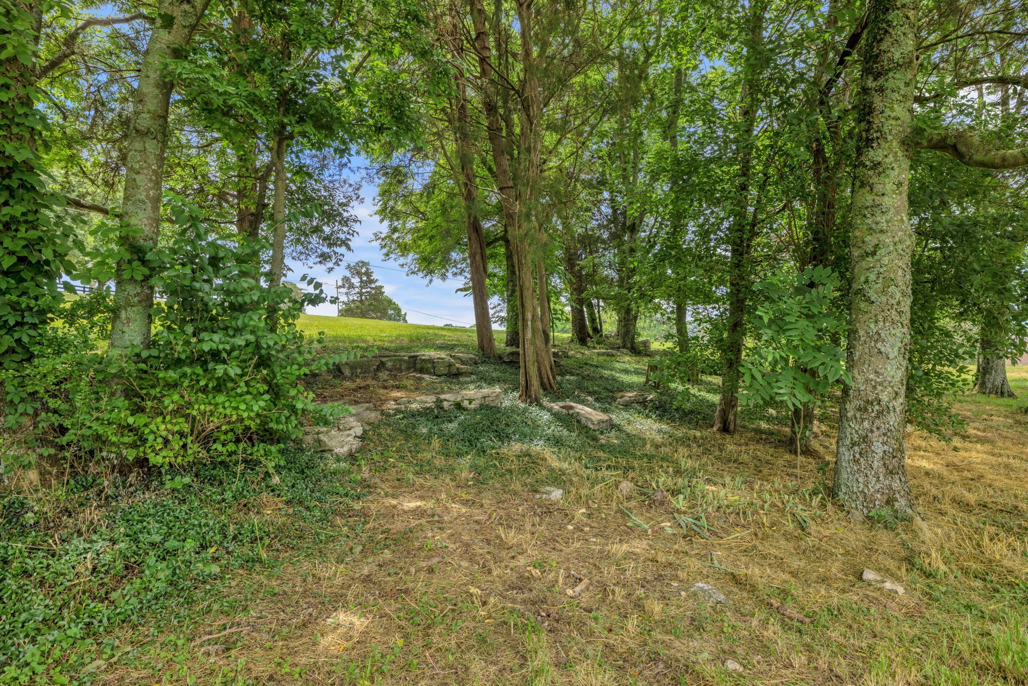 Image 9 of 14 For 10819 83rd Court