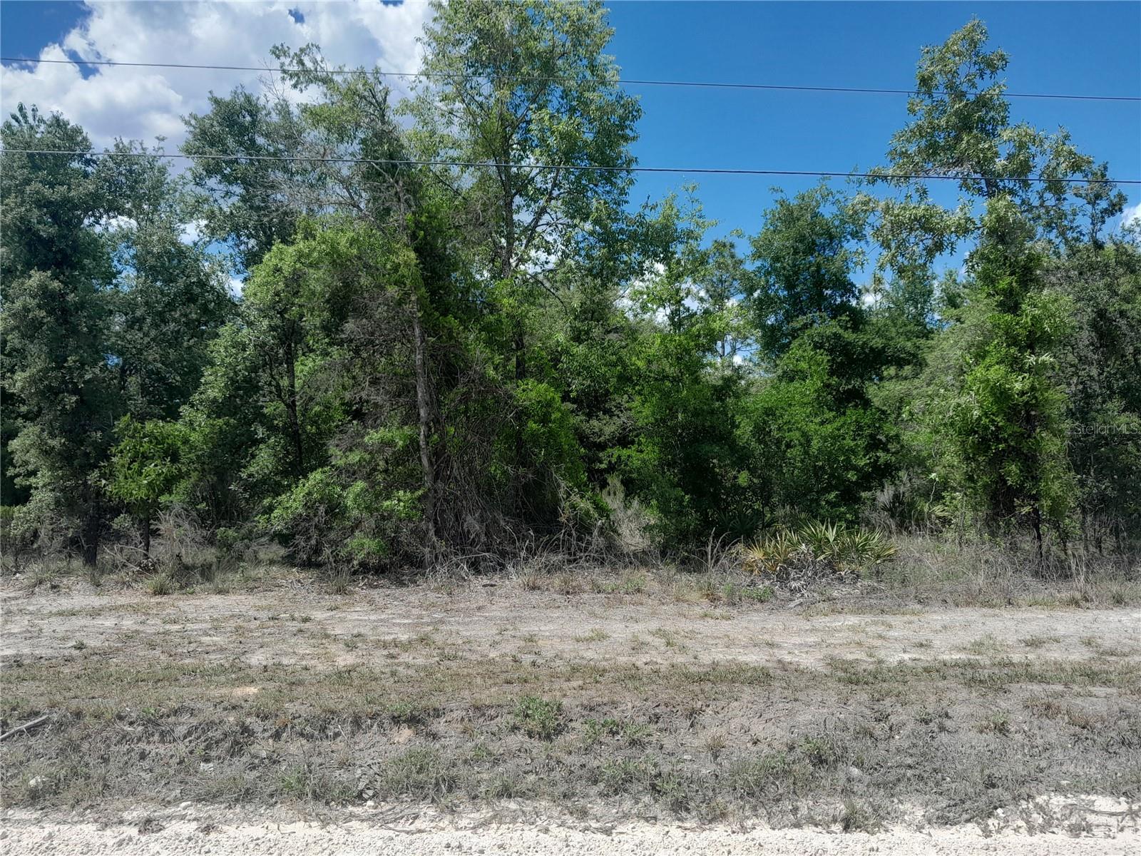 Details for Tbd 63rd Place, WILLISTON, FL 32696