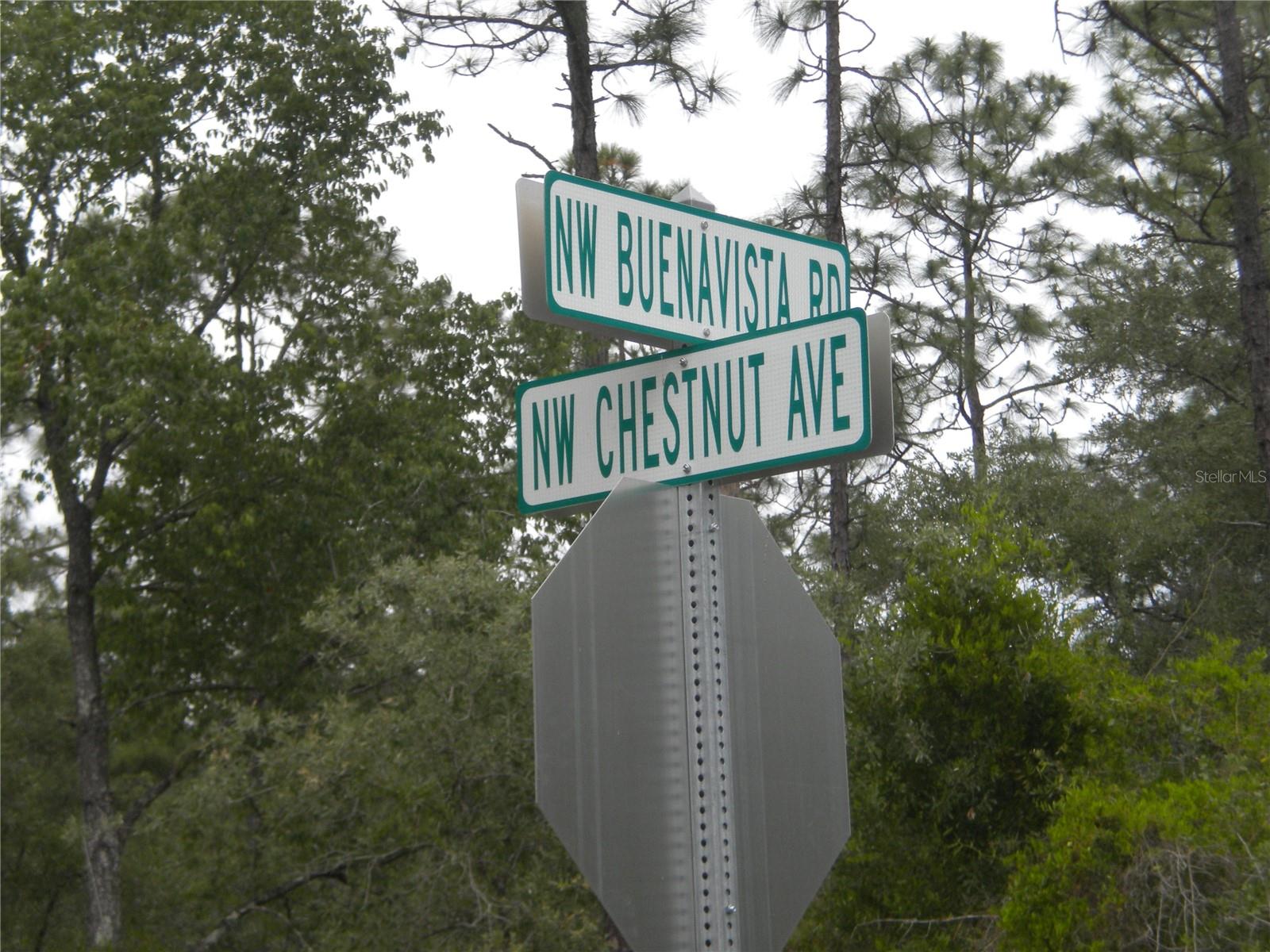 Image 15 of 18 For Blk 25 Lot 16 Buena Vista Road