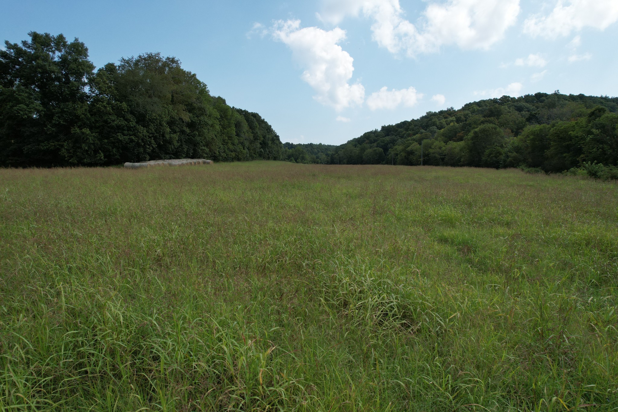 Image 6 of 33 For 0 N Lick Creek Rd