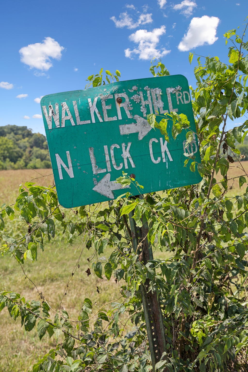 Image 7 of 33 For 0 N Lick Creek Rd