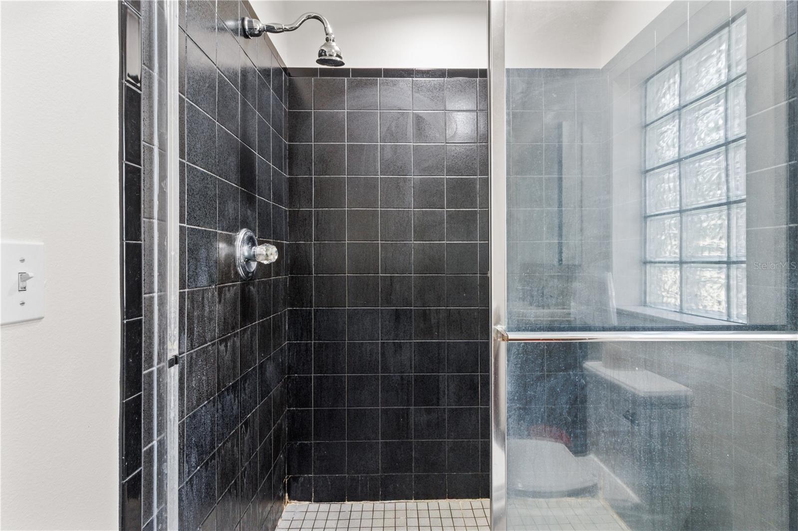 Listing photo id 31 for 170 80th Street
