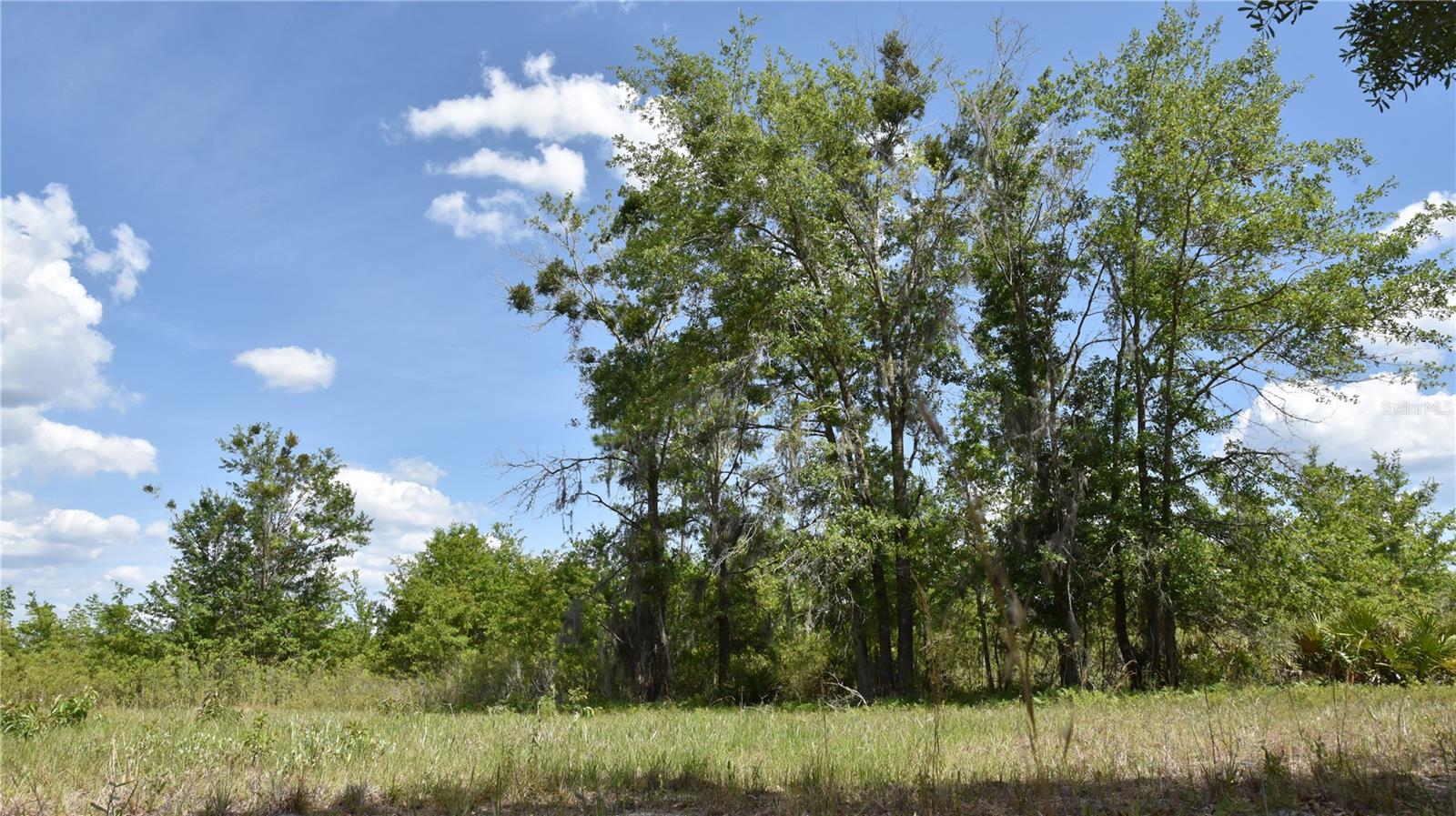 Details for  Off Hwy 225  , GAINESVILLE, FL 32609