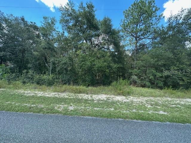 Listing Details for 920 Rum Place, DUNNELLON, FL 34434
