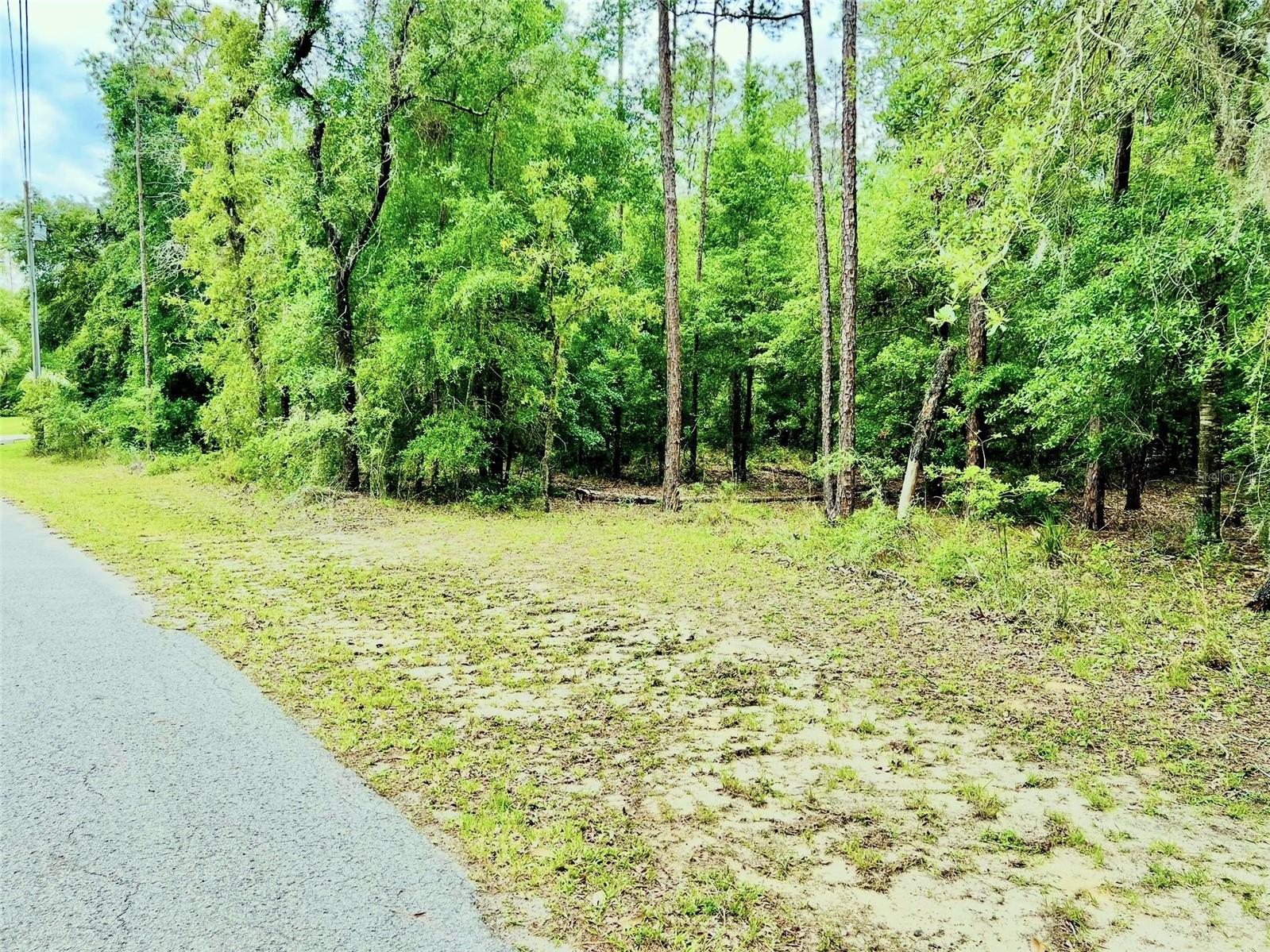 Details for 0000 85 Loop Loop, DUNNELLON, FL 34431