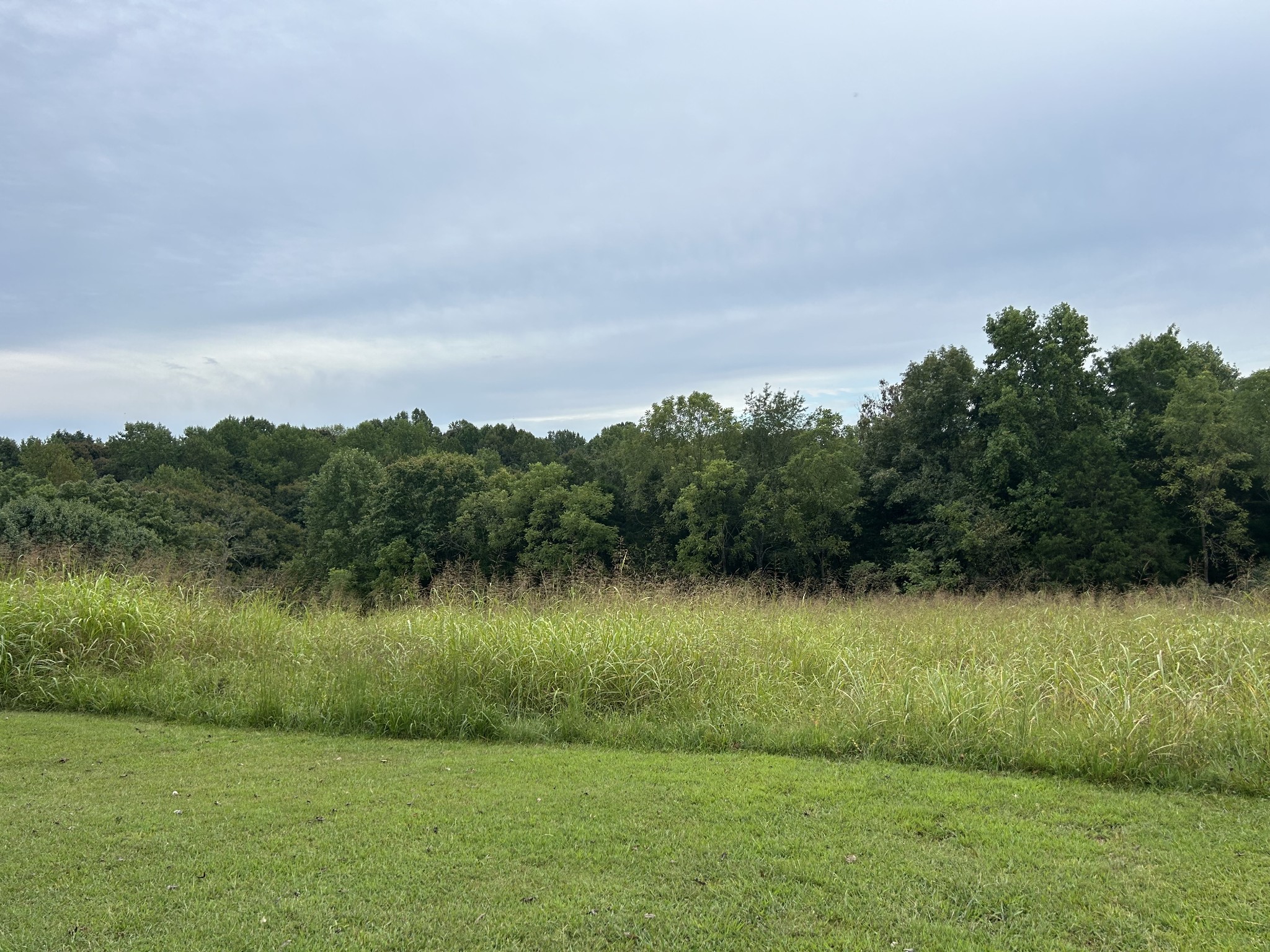 Image 2 of 6 For 2920 18th Street
