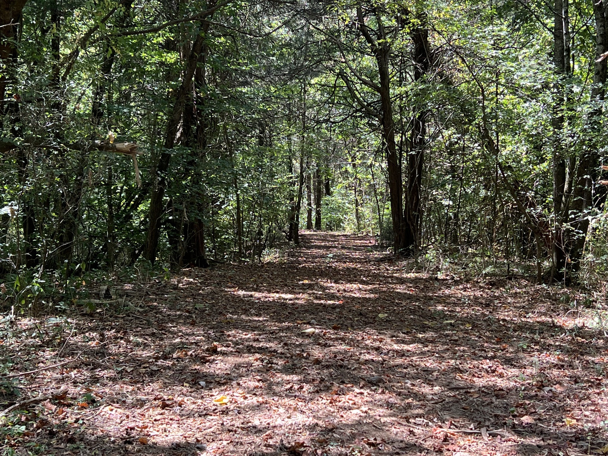Image 10 of 41 For 3389 Pennyroyal Road
