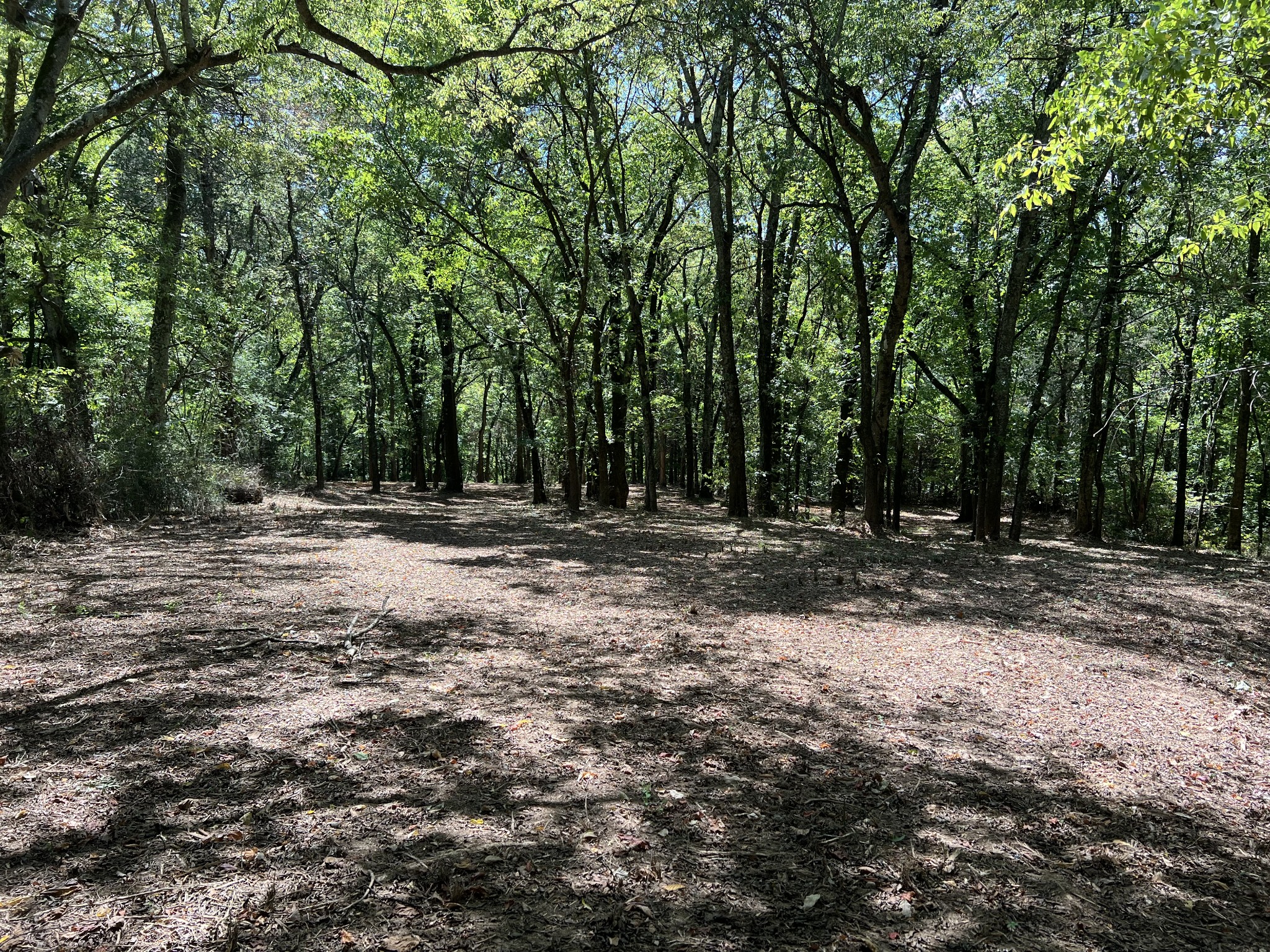 Image 11 of 41 For 3389 Pennyroyal Road