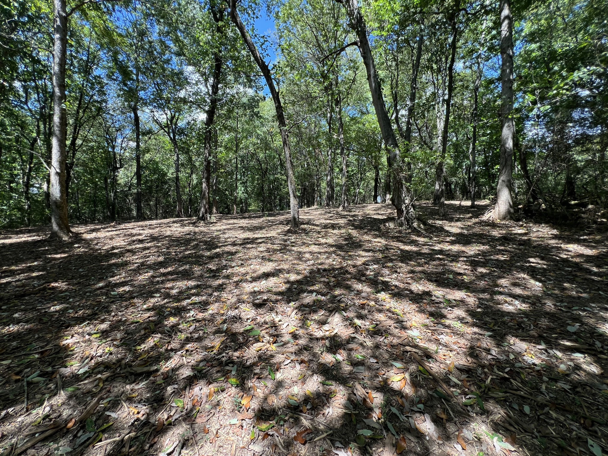 Image 12 of 41 For 3389 Pennyroyal Road