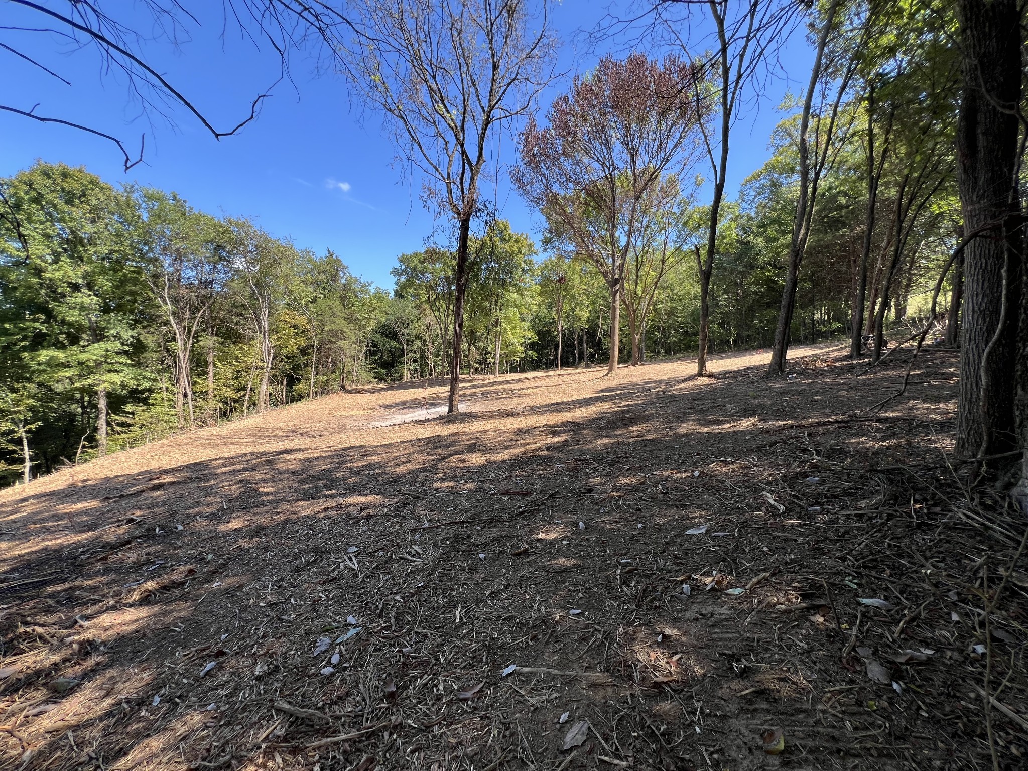 Image 7 of 41 For 3389 Pennyroyal Road