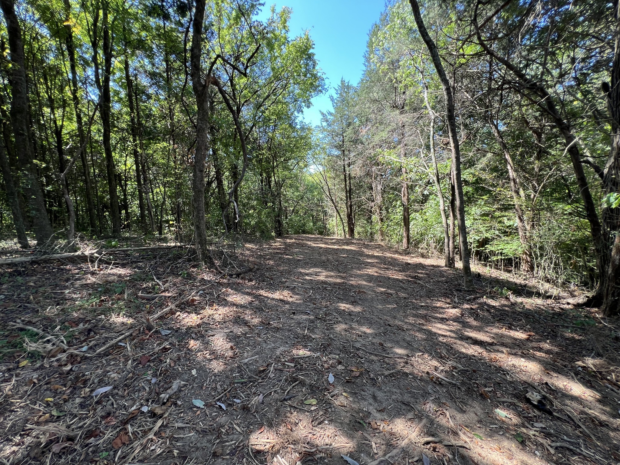 Image 8 of 41 For 3389 Pennyroyal Road