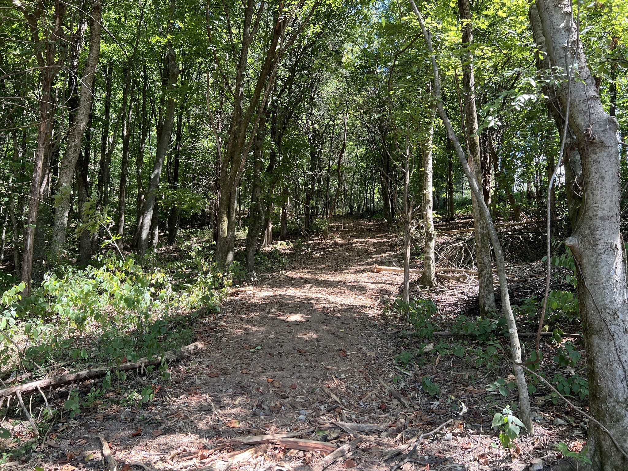 Image 9 of 41 For 3389 Pennyroyal Road