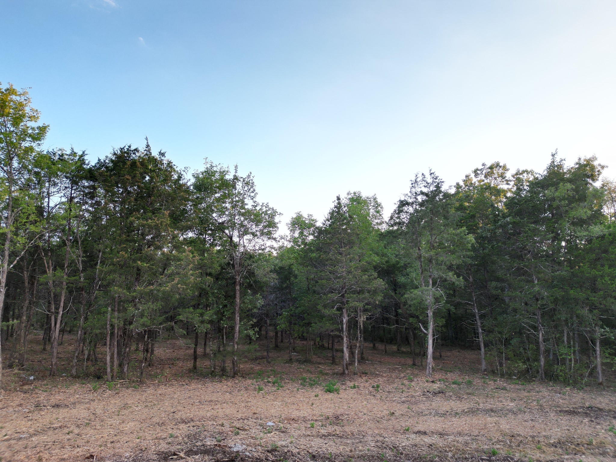Image 10 of 23 For 3135 Evenmore Way