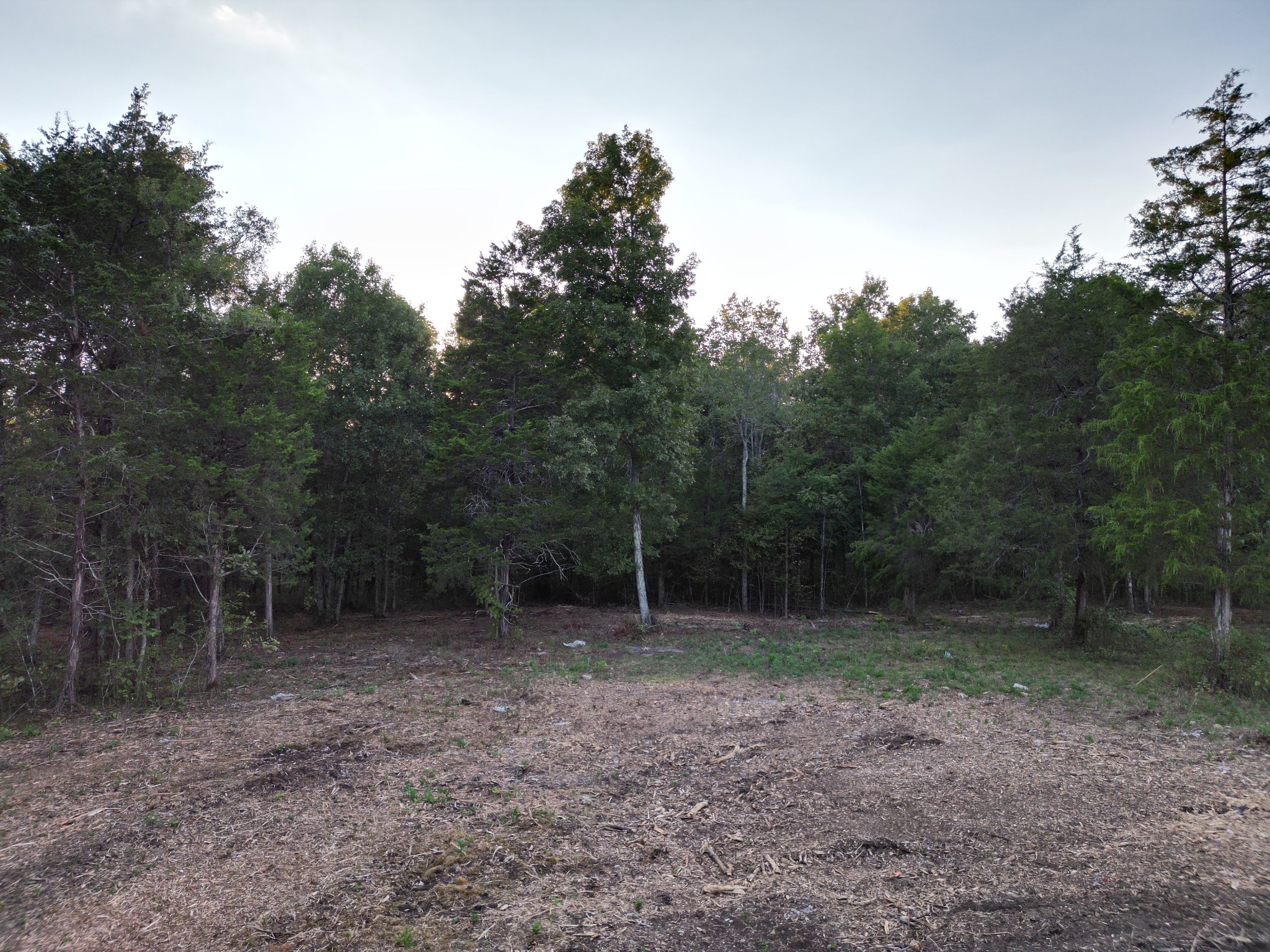 Image 8 of 23 For 3135 Evenmore Way