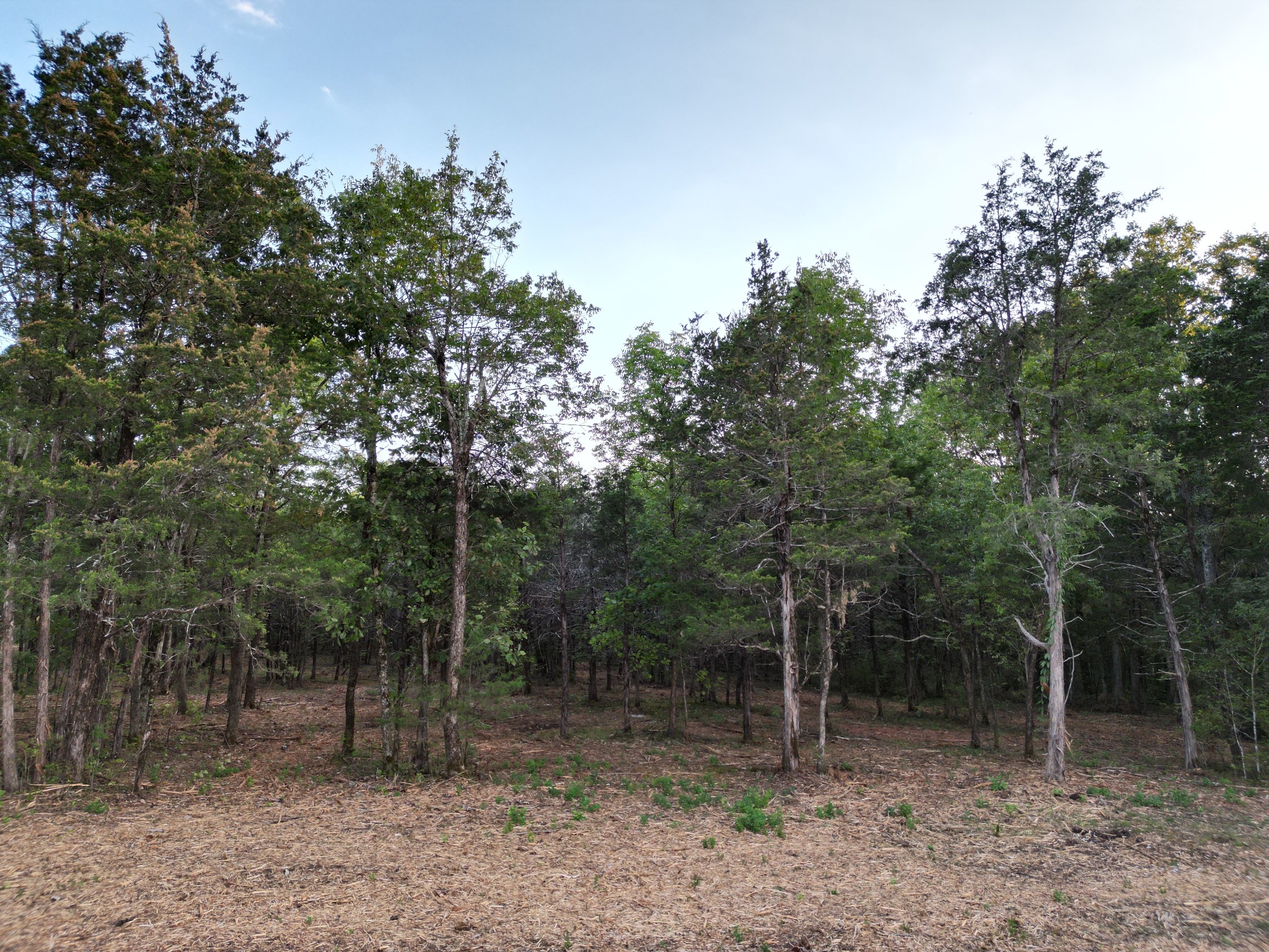 Image 9 of 23 For 3135 Evenmore Way