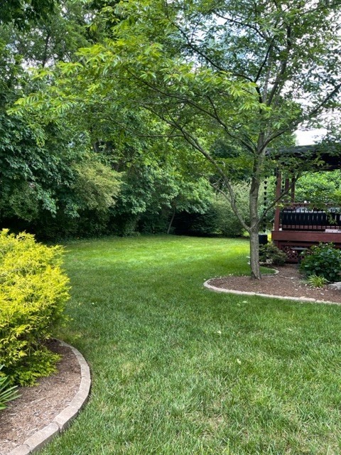 Image 28 of 44 For 5521 31st Street