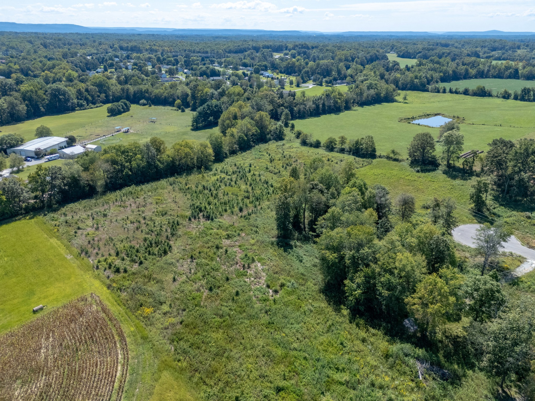 Image 6 of 19 For 9827 96th Street