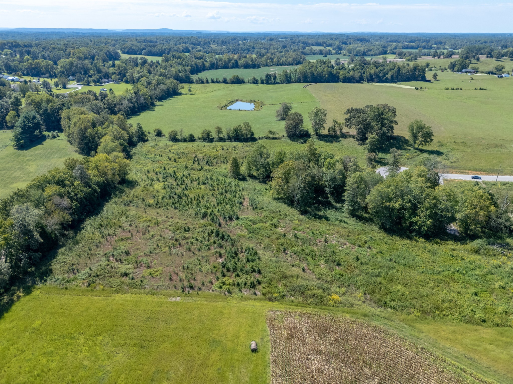 Image 7 of 19 For 9827 96th Street