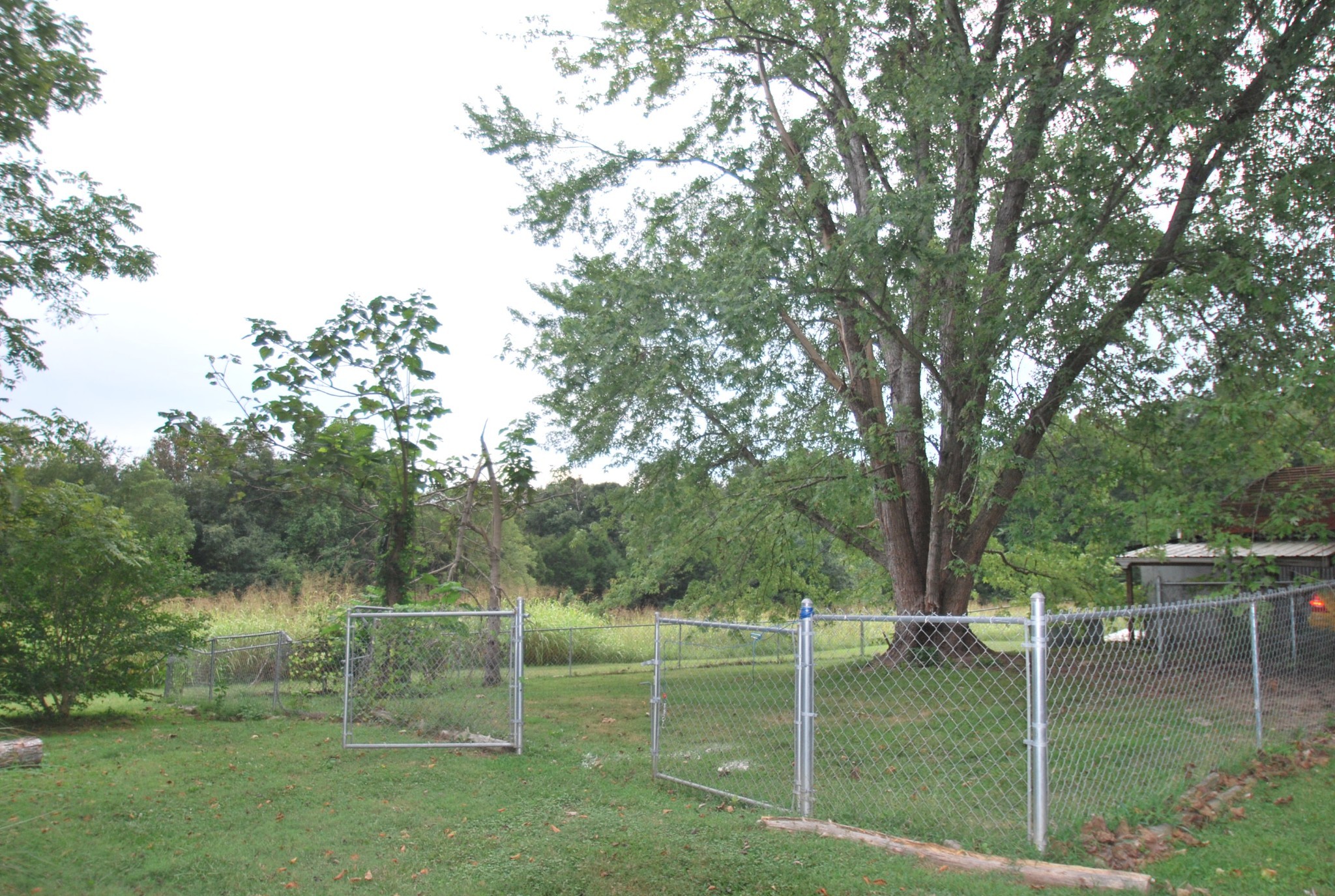 Listing photo id 26 for 11729 Coquina Court