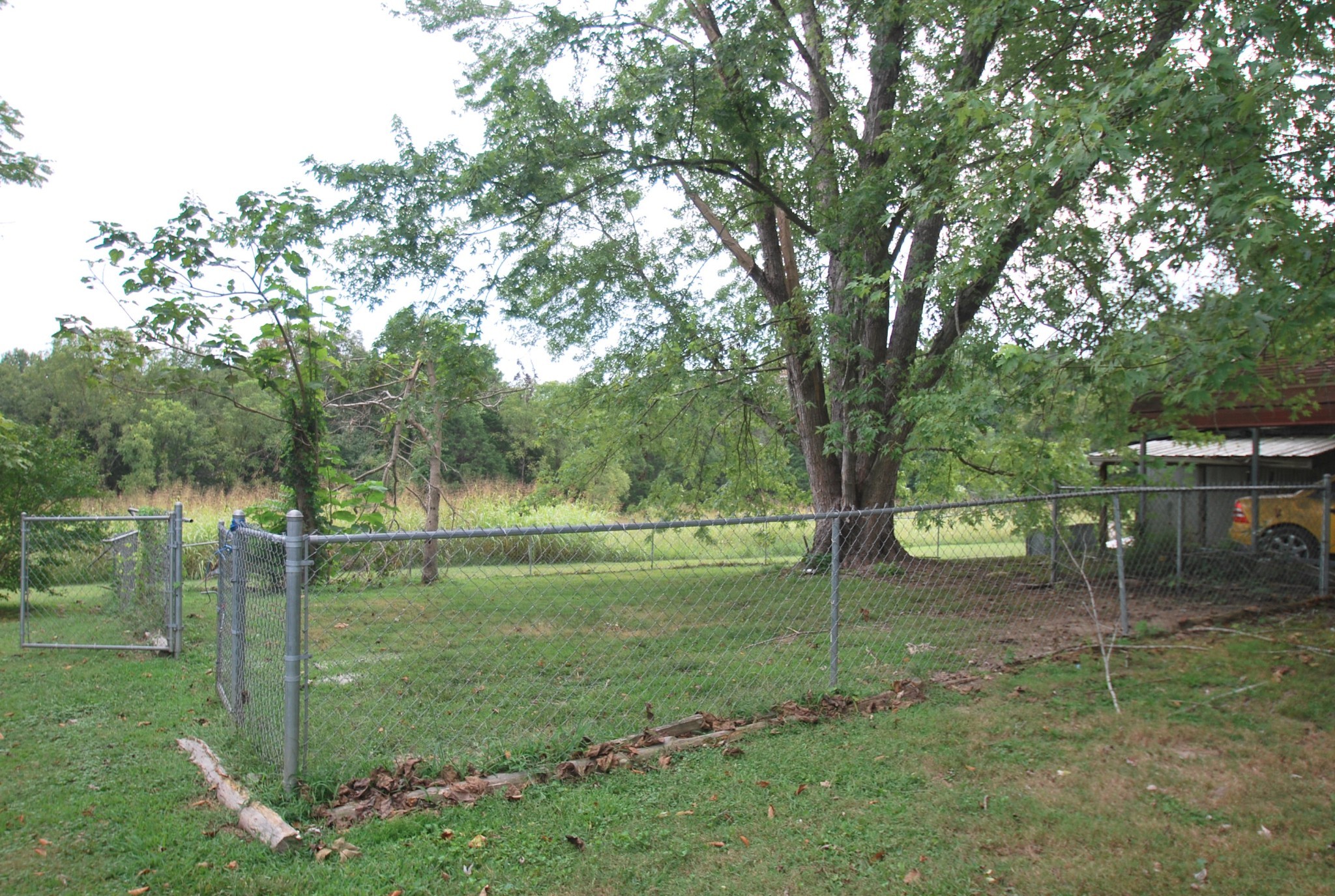 Listing photo id 31 for 11729 Coquina Court