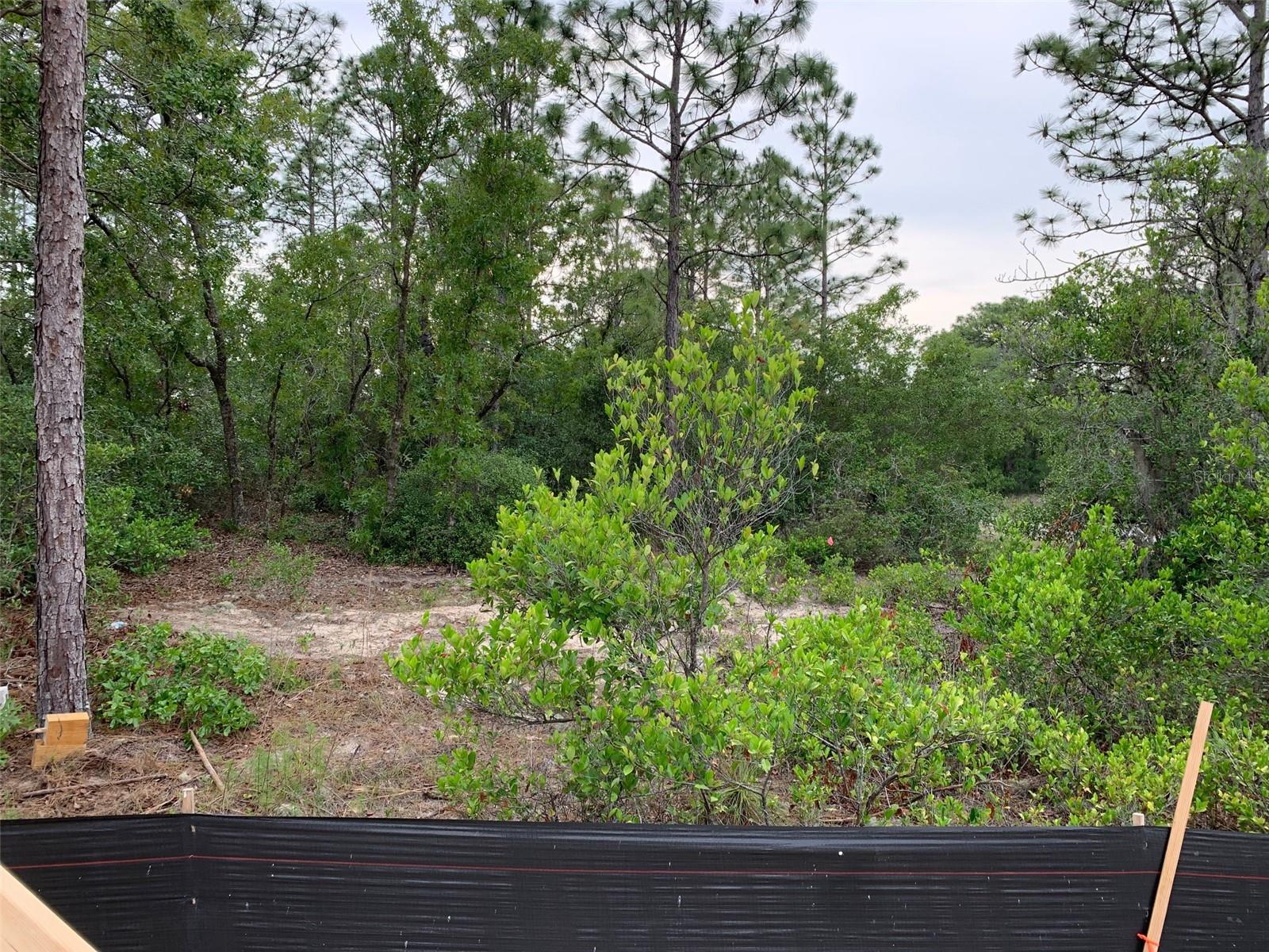 Listing photo id 0 for 9016 Lansen Way