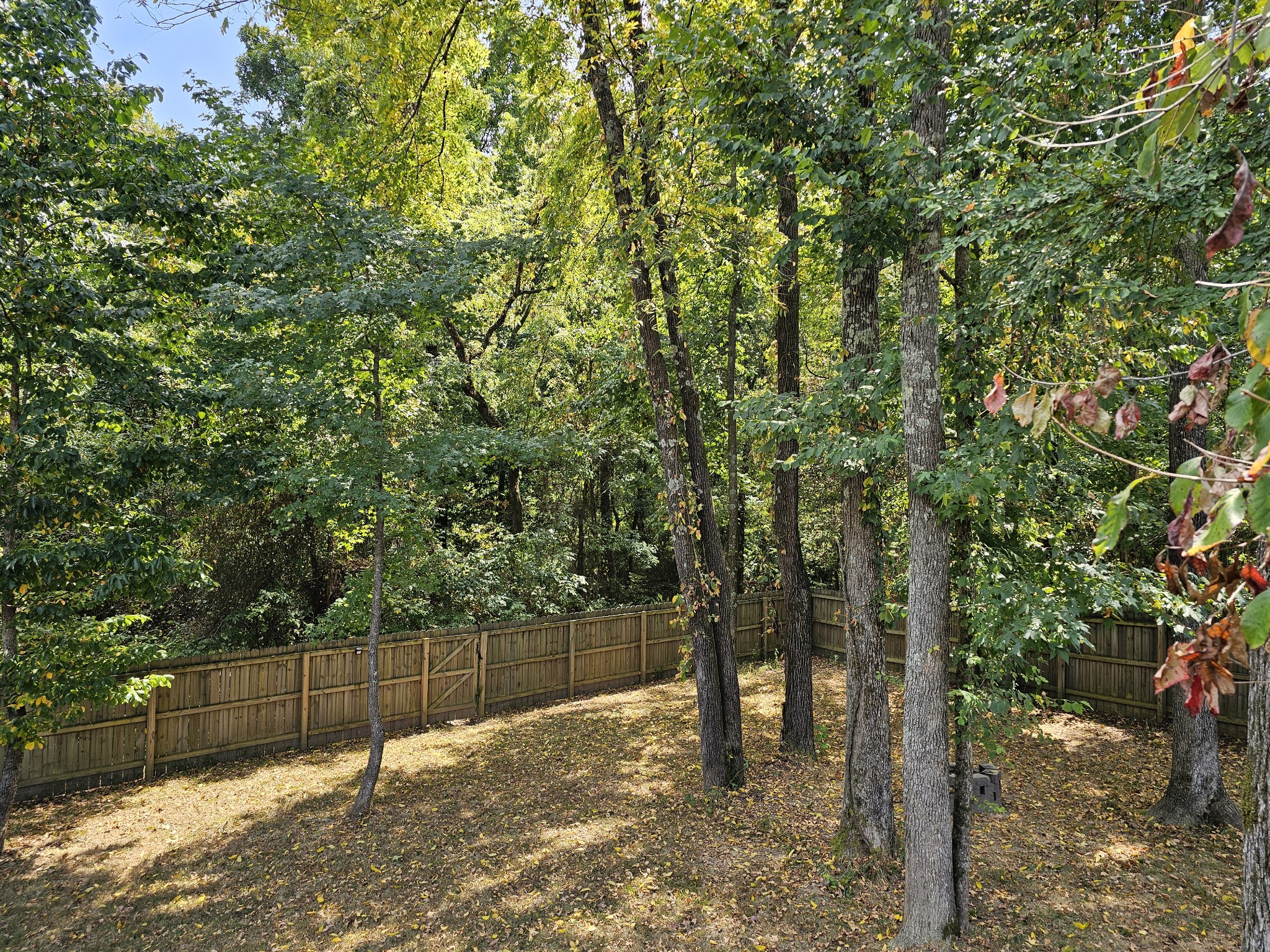 Image 18 of 18 For 2848 11th Street